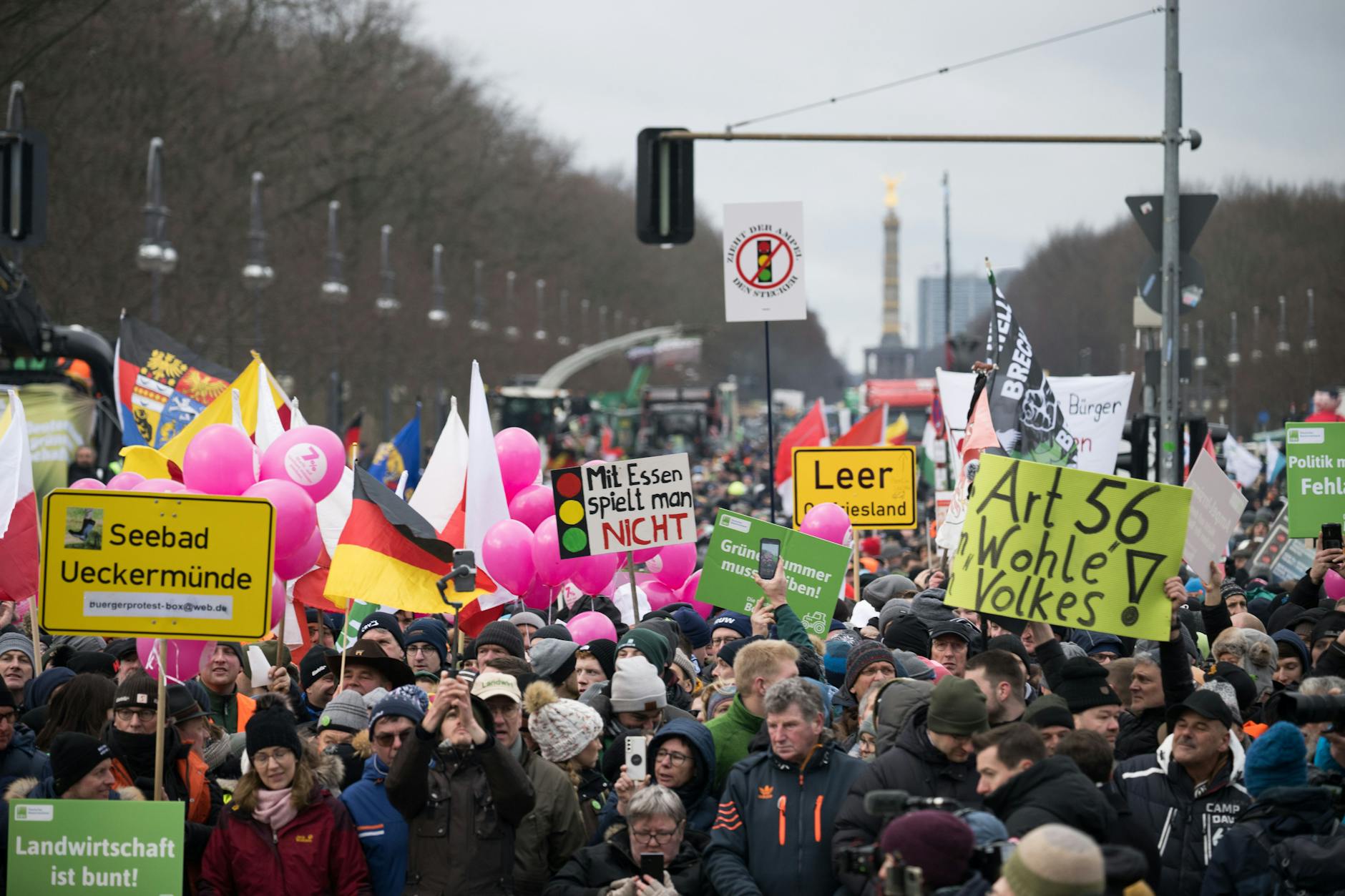 Demonstrationsteilnehmer stehen mit Plakaten während einer Protestdemonstration vor dem Brandenburger Tor. 
