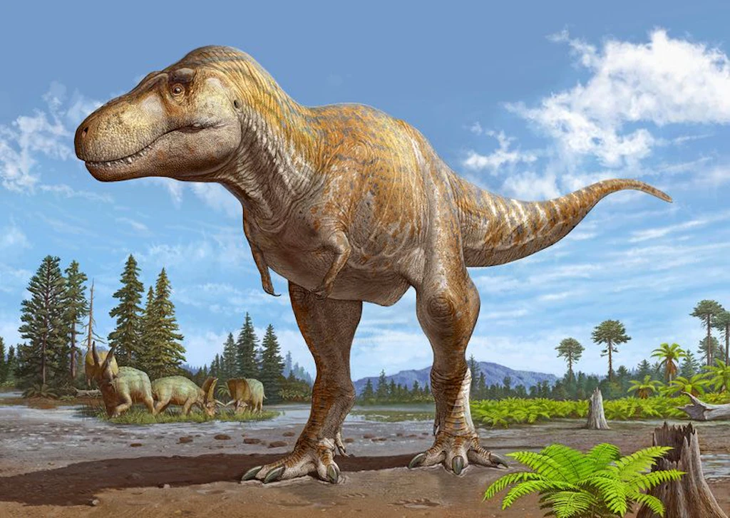 Der Onkel von T. Rex: Engster Verwandter des berühmten Dinosauriers entdeckt