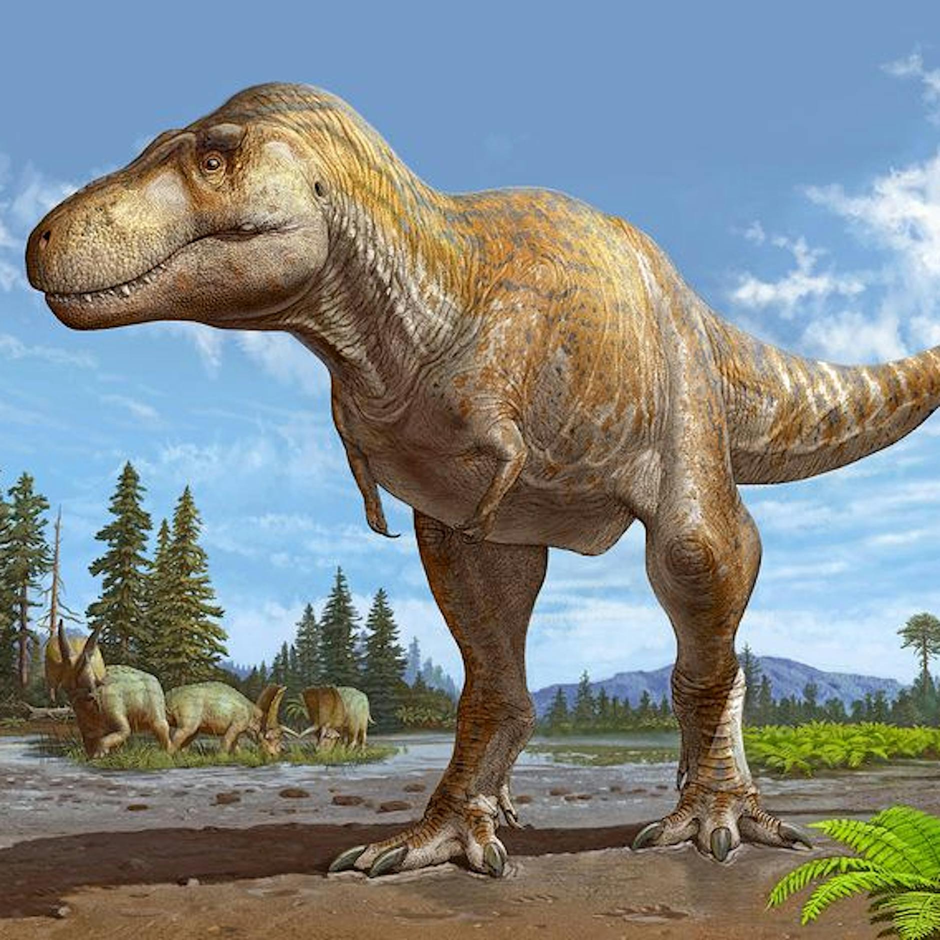 Tyrannosaurus mcraeensis – Der Onkel von T. Rex: Engster Verwandter des berühmten Dinosauriers entdeckt