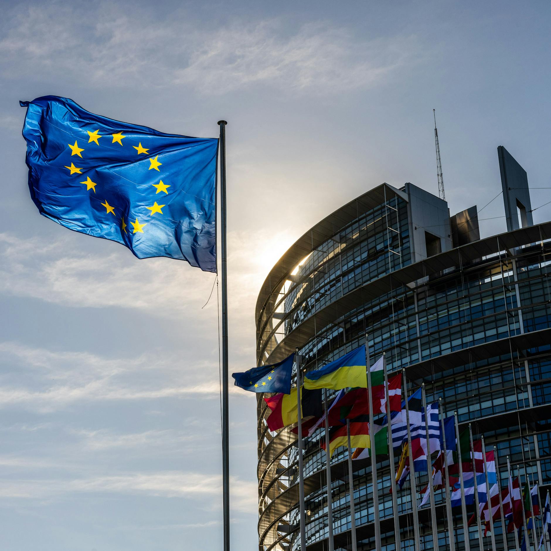 Image - Recht auf Abtreibung: Liberale und Grüne fordern Aufnahme in EU-Grundrechte-Charta