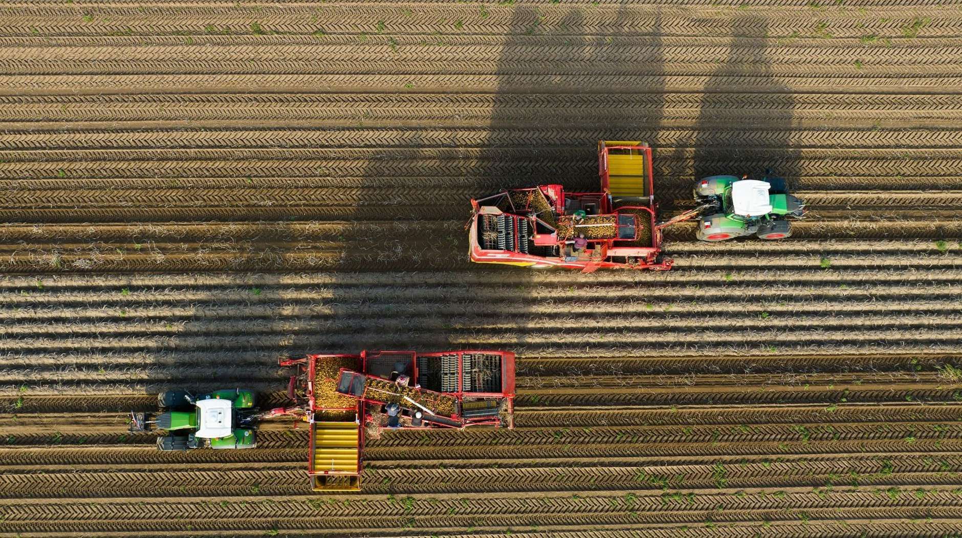 ARCHIV - Derzeit ist offen, ob die Landwirtschaft bei der Umstellung auf alternative Antriebe auf staatliche Hilfe setzen kann.  