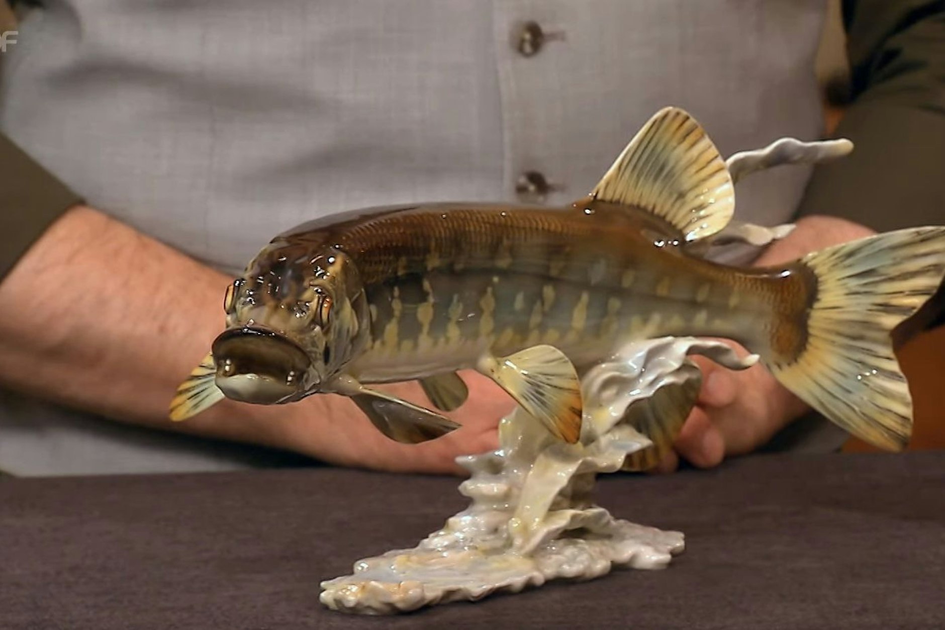 Der Porzellan-Hecht begeistert „Bares für Rares“-Moderator Horst Lichter – und die Händler ebenfalls.