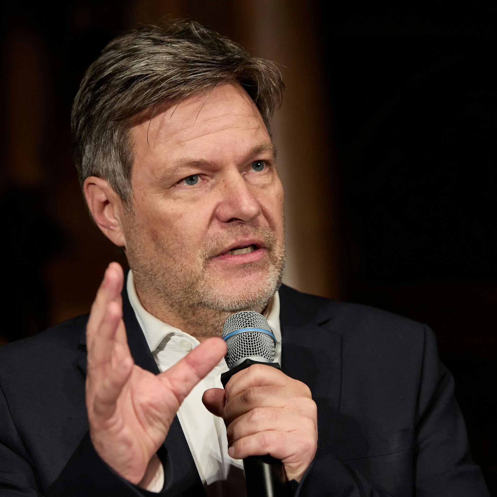 Image - Galgen mit Ampelsymbol bei Bauernprotesten: Robert Habeck warnt vor Attentaten auf Politiker