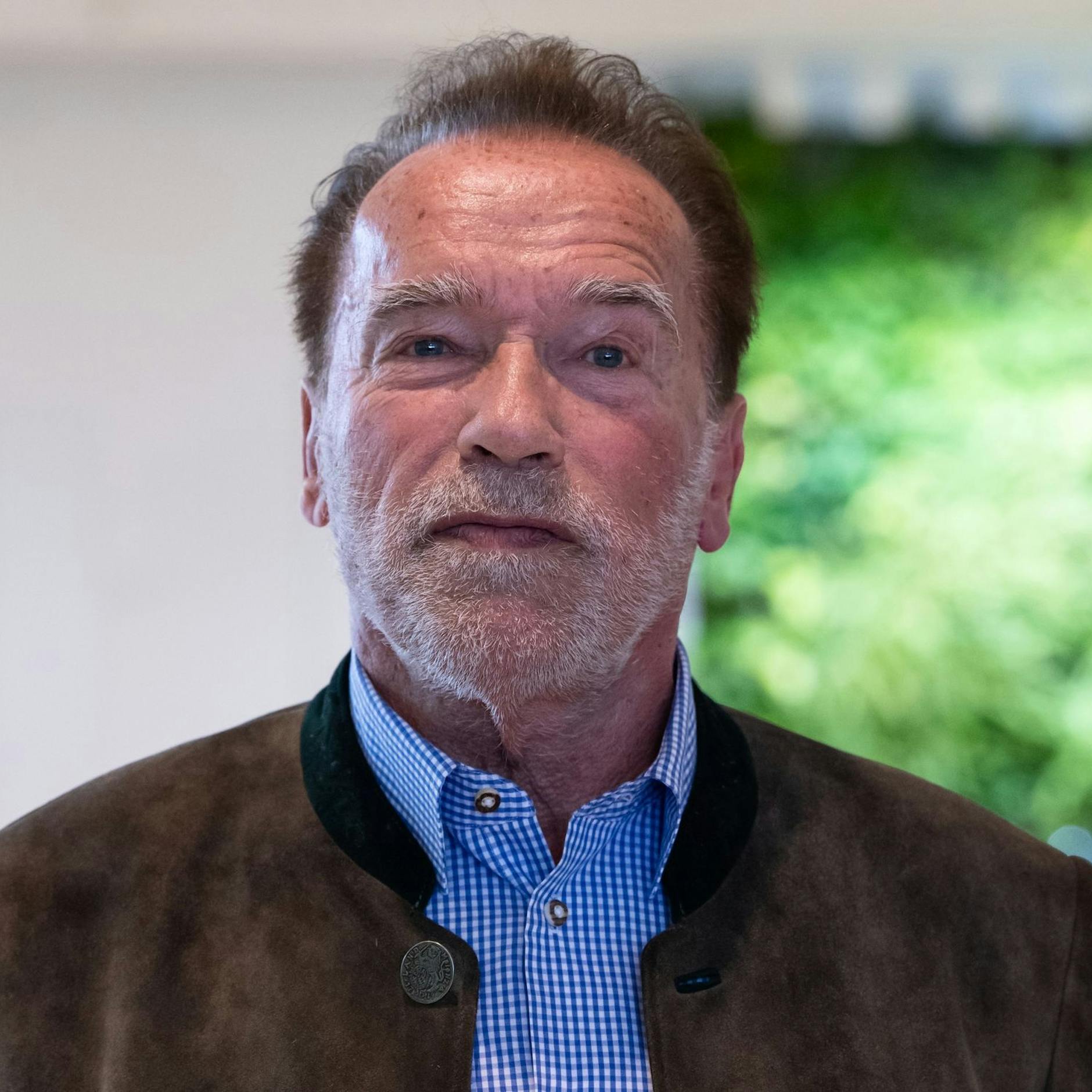Image - Arnold Schwarzenegger am Flughafen gestoppt: Deutscher Zoll ermittelt gegen Schauspieler