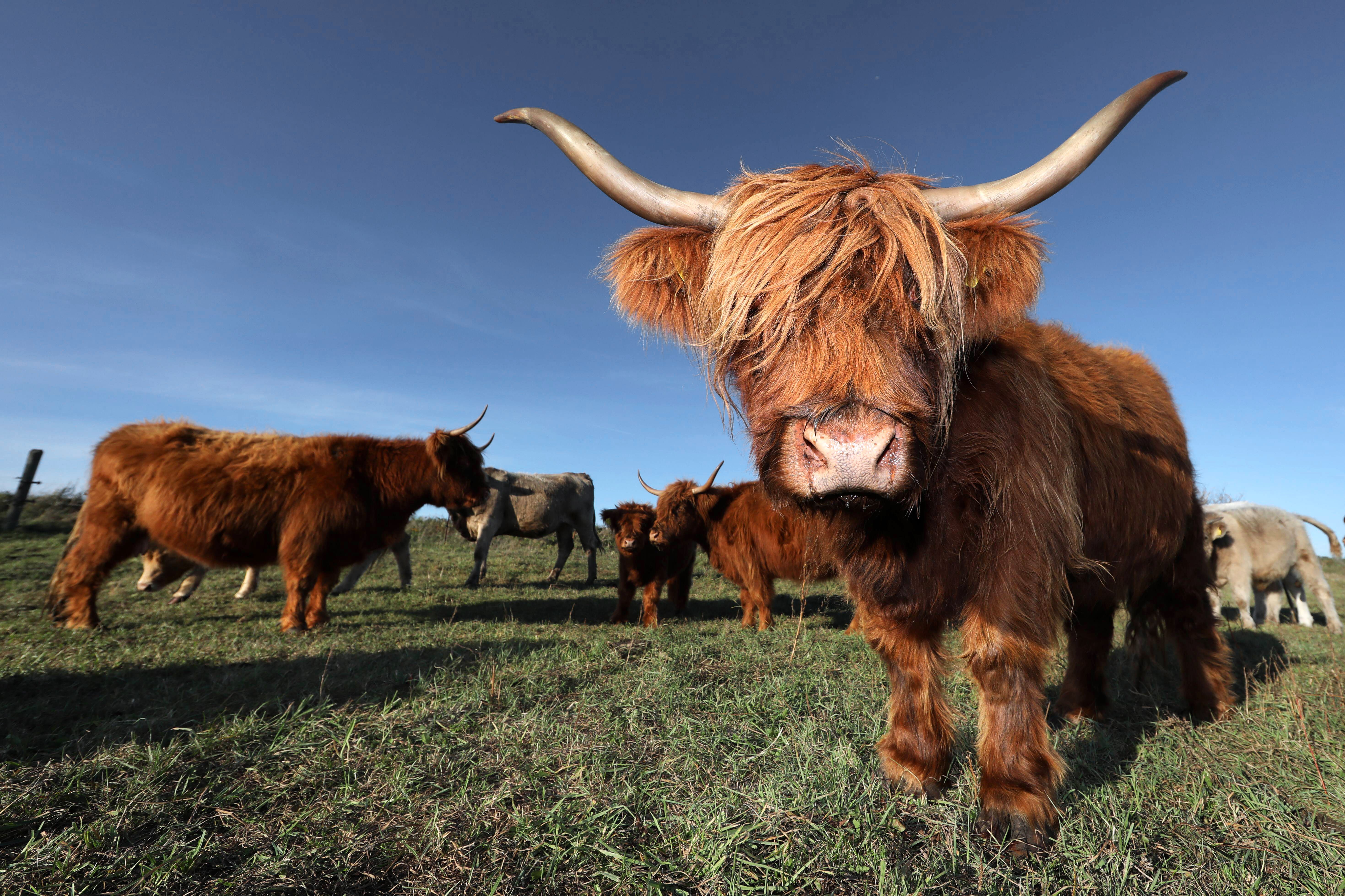 Schlaraffenland in Gefahr: Die Ernährung ist ebenso wichtig wie die Wohnungsfrage