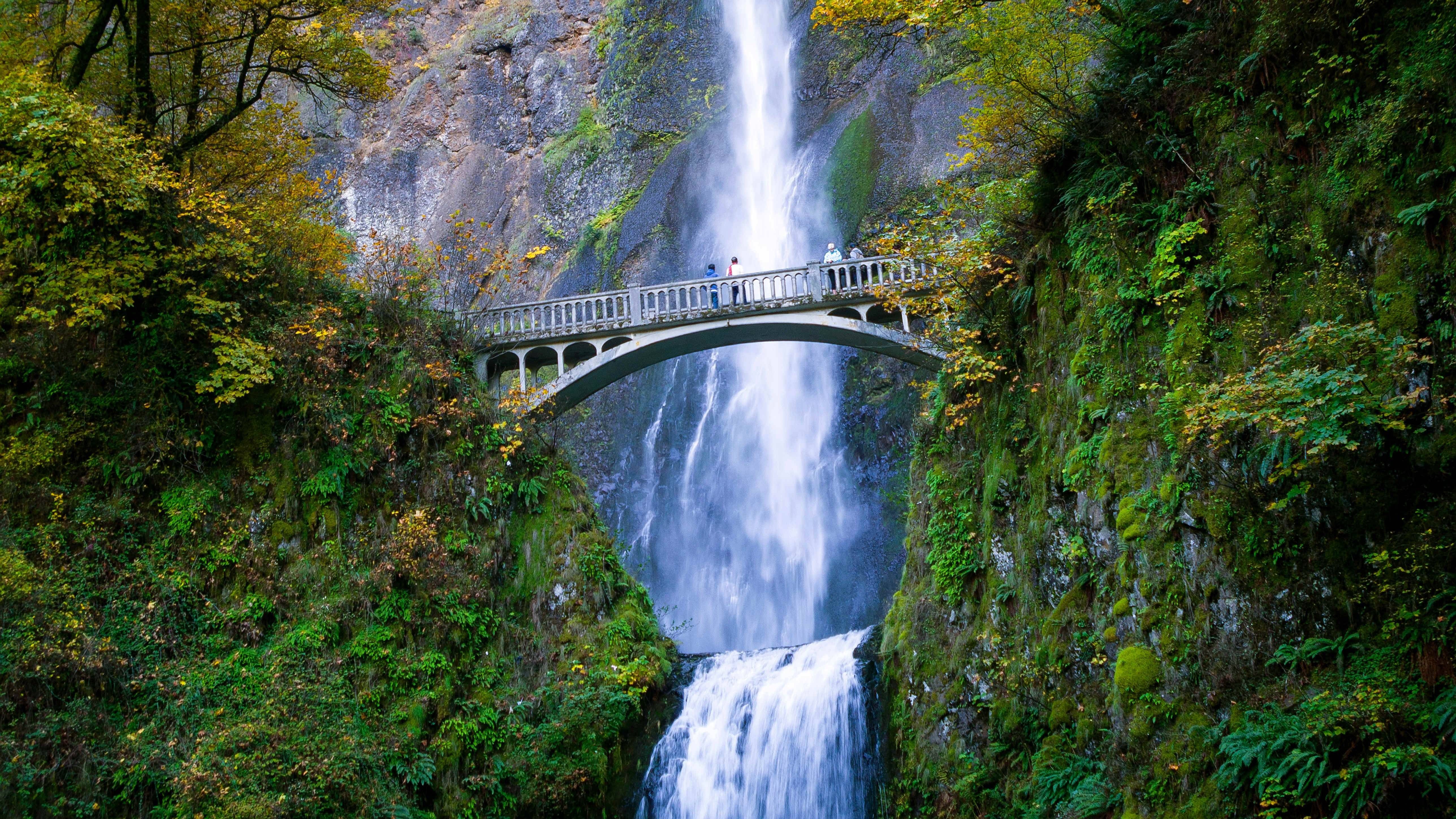 Portland Calling: Wo Hipster-Angeberei auf unberührte Natur trifft