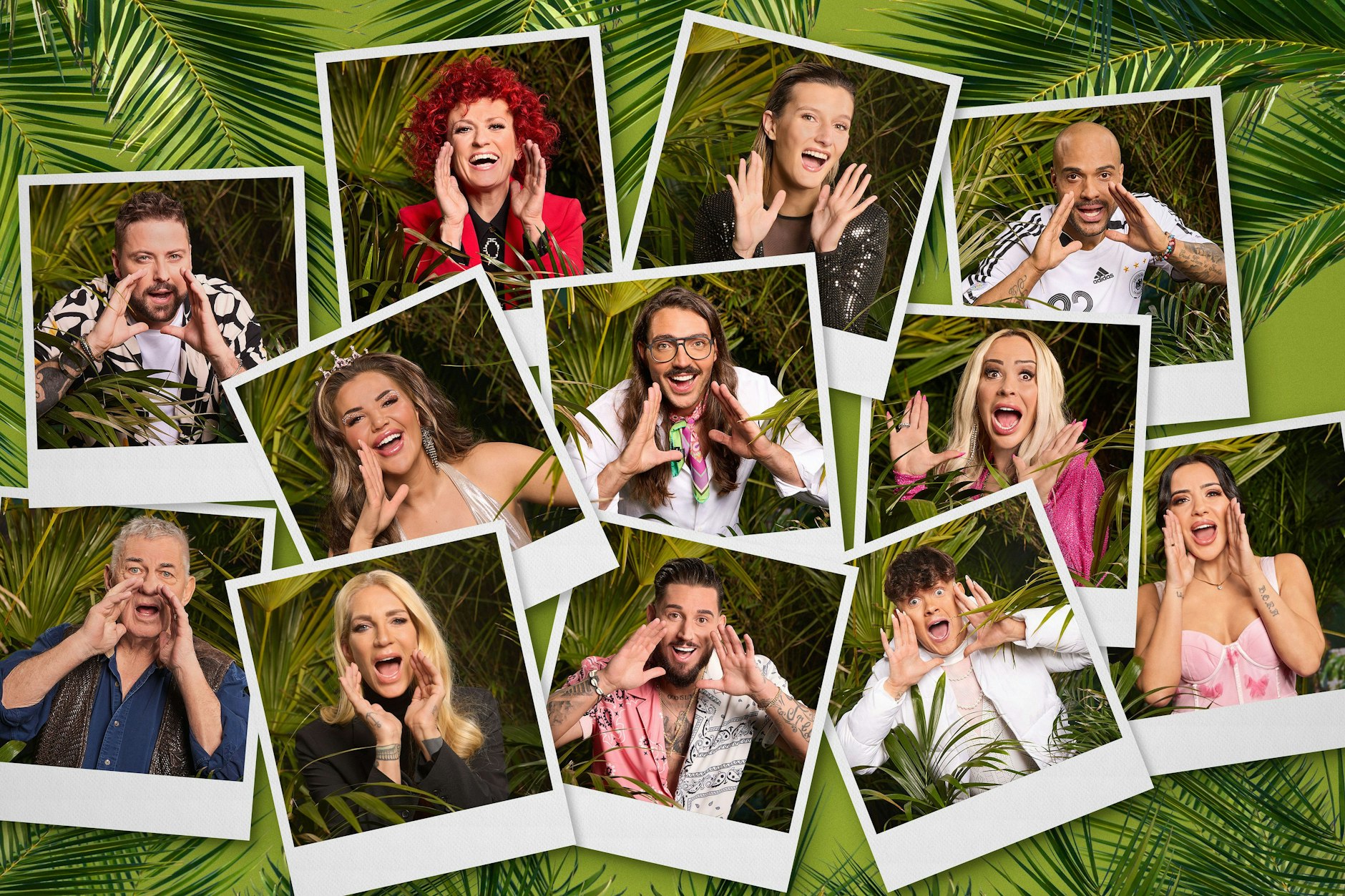 Welcher Star aus dem Dschungelcamp 2024 verdient am meisten?