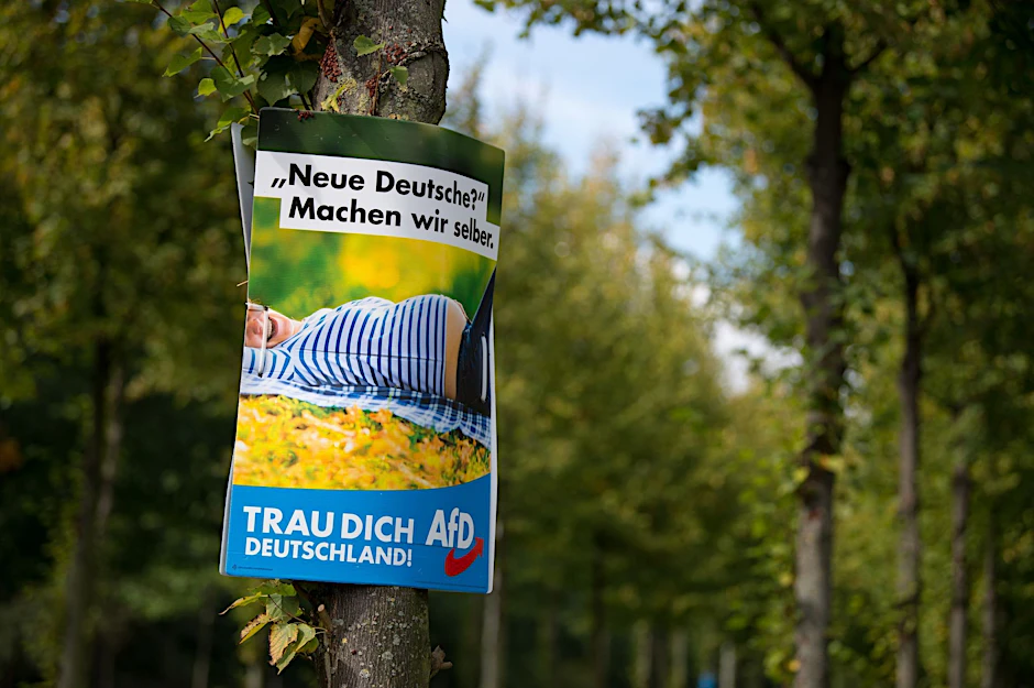 ARCHIV - Ein AfD-Wahlplakat aus dem Jahr 2017 in Dresden.  