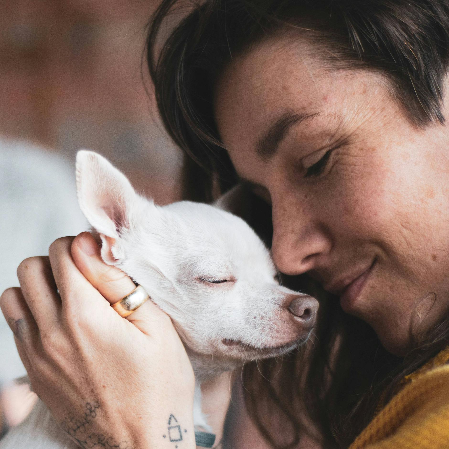 Tageshoroskop fürs Sternzeichen Jungfrau: 22. Januar 2024