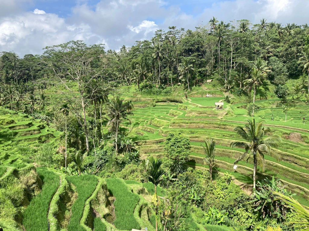 Sorge auf Bali: Indonesien erhöht die Vergnügungssteuer
