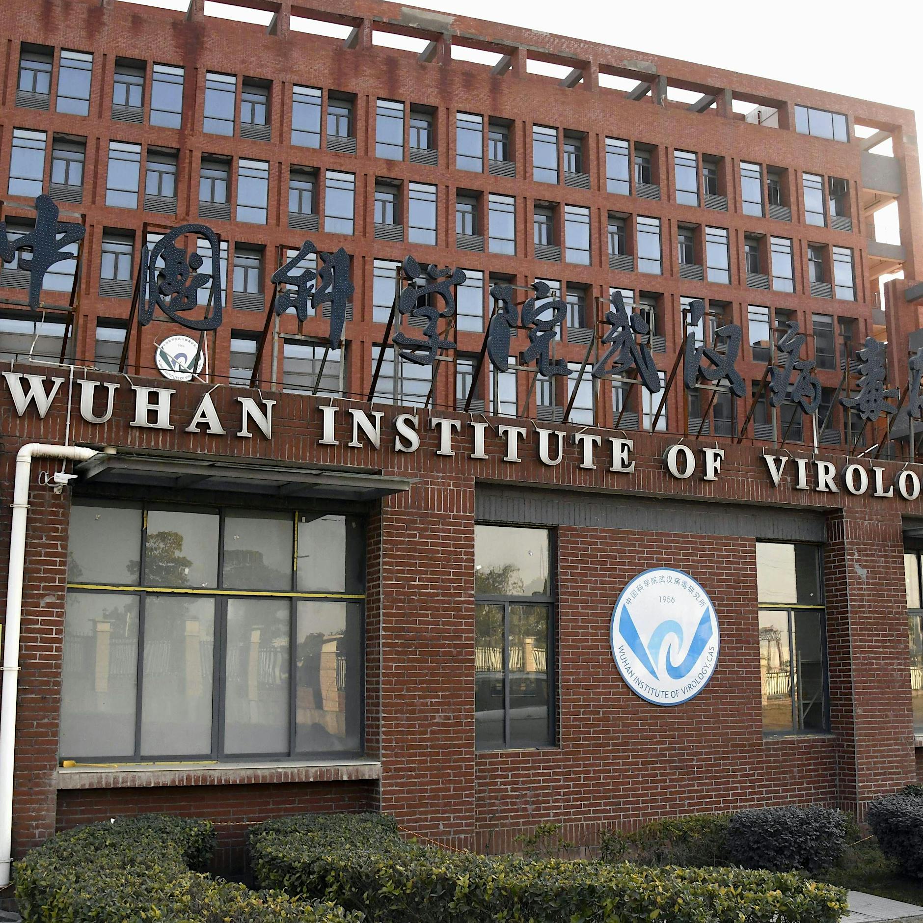 Corona: Neue Dokumente verstärken Verdacht auf Laborursprung