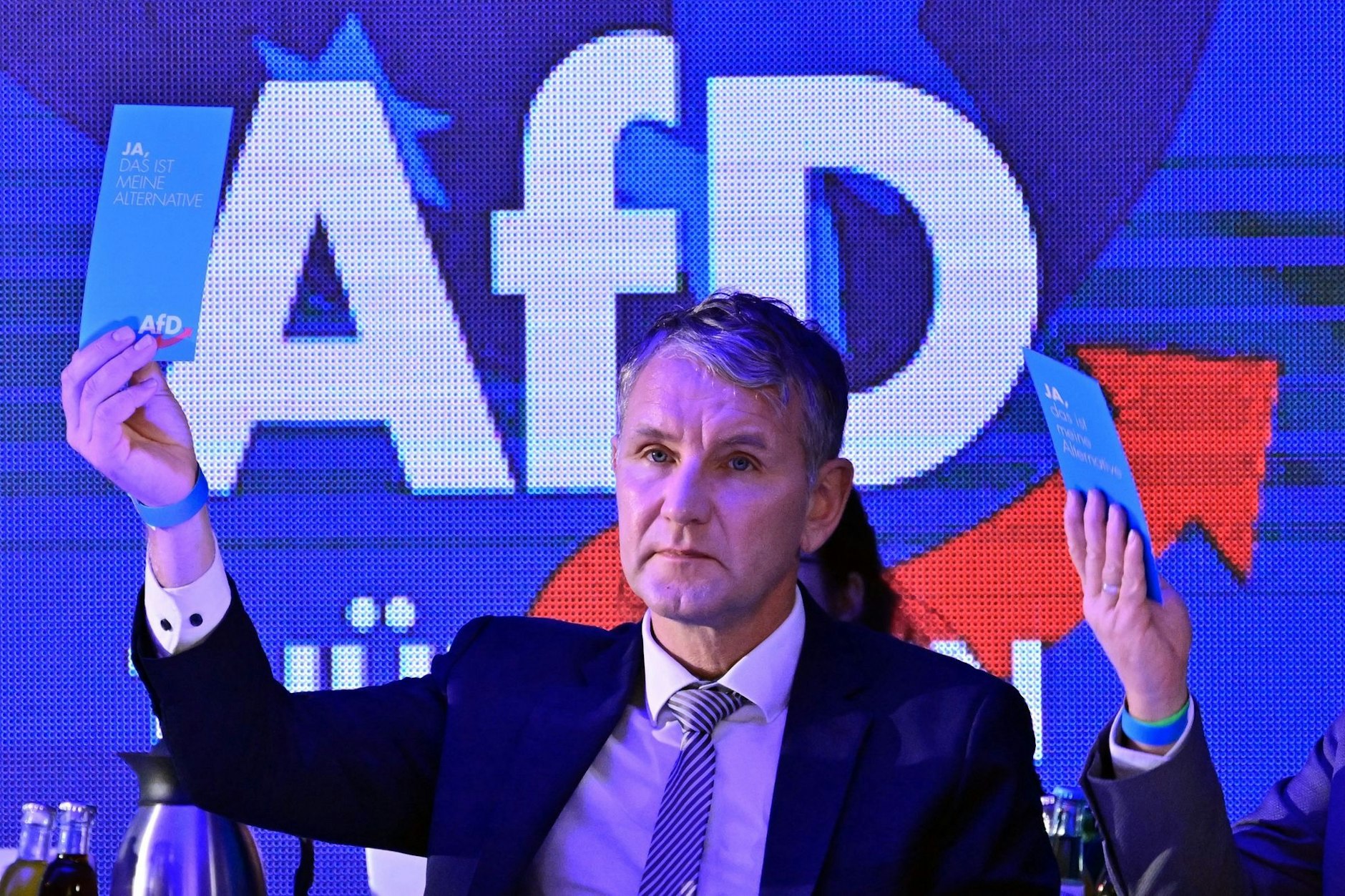 Den Thüringer AfD-Landesverband, dessen Chef Björn Höcke ist, stuft der Verfassungsschutz als gesichert rechtsextrem ein.