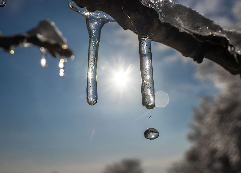 Winterwetter in Frankfurt: Die Sonne lässt die Eisschicht auf den Bäumen schmelzen.  