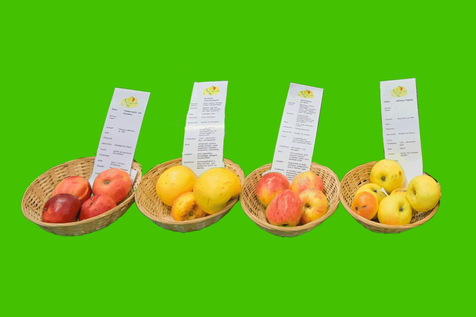 Mit Kindern auf die Grüne Woche in Berlin: Ist das eine gute Idee? Ein Nachmittagstest