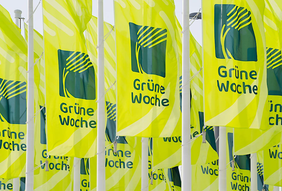 Die Flaggen der Grünen Woche (19.01. bis 28.01.2024) wehen vor der Eröffnung der Messe am Eingang zum Messegelände.  