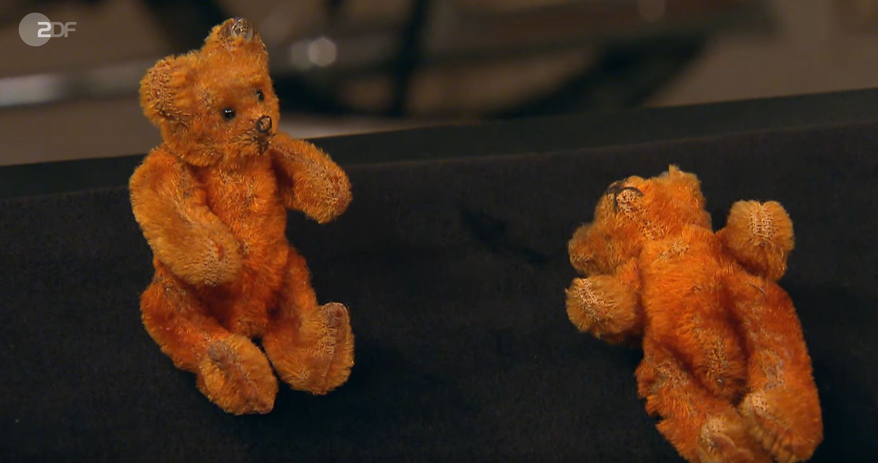 Image - Kleine Bären haben bei „Bares für Rares“ ihren großen Auftritt