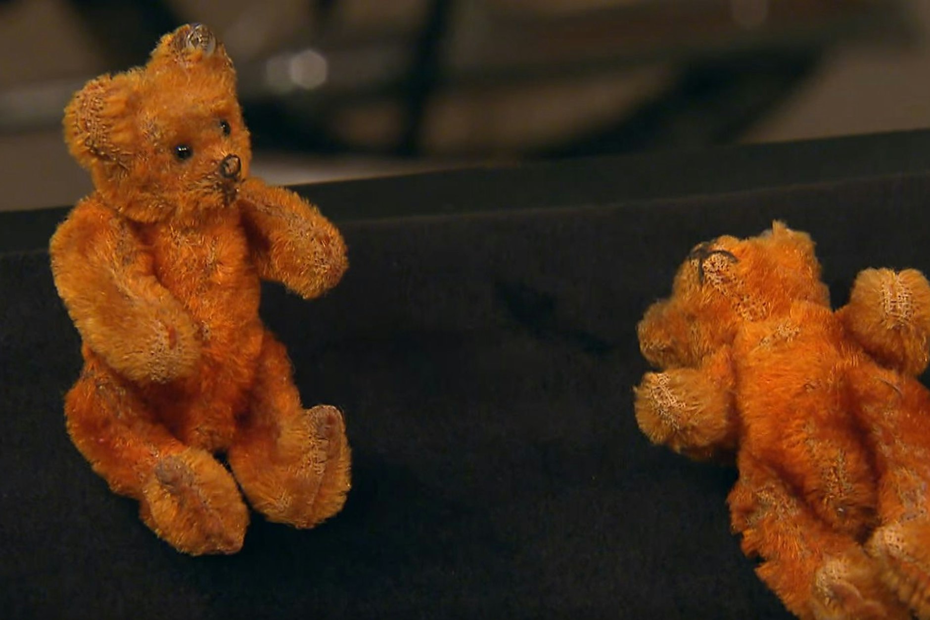 Die Bären sind los bei „Bares für Rares“.