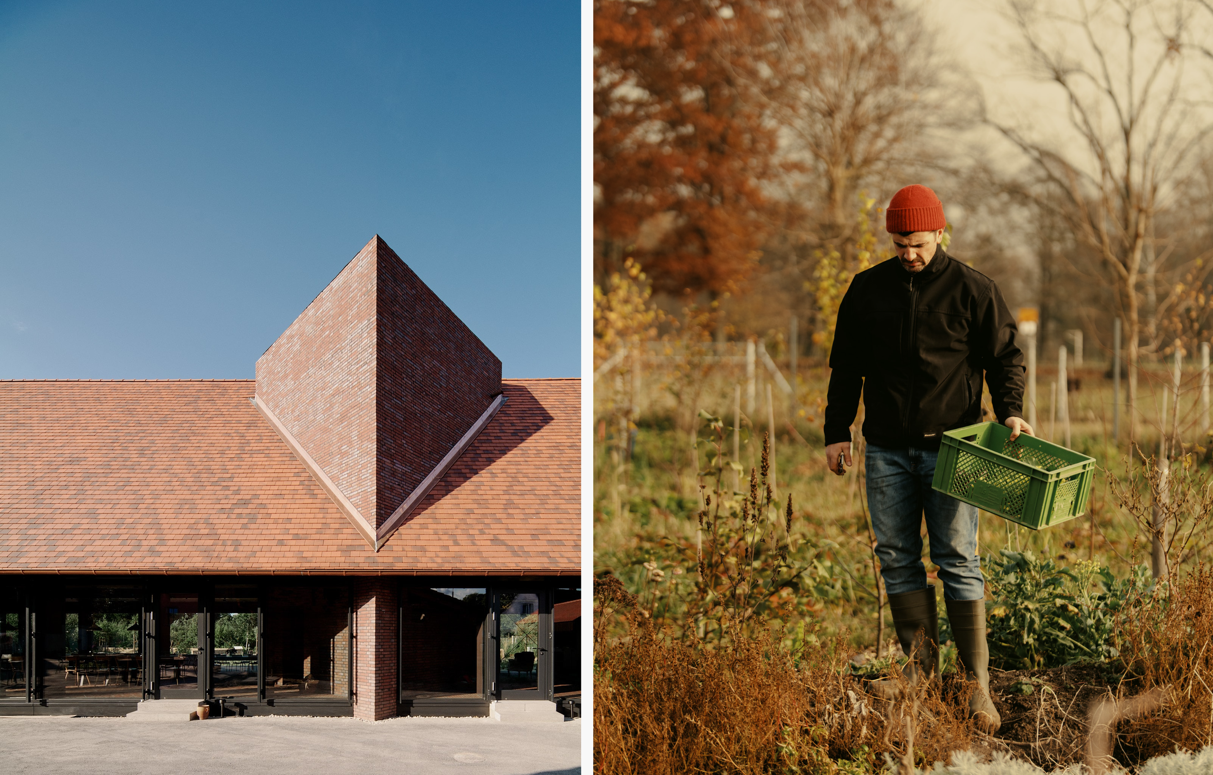 Bauernhof-Urlaub in Brandenburg: Michelberger Farm im Spreewald im Test