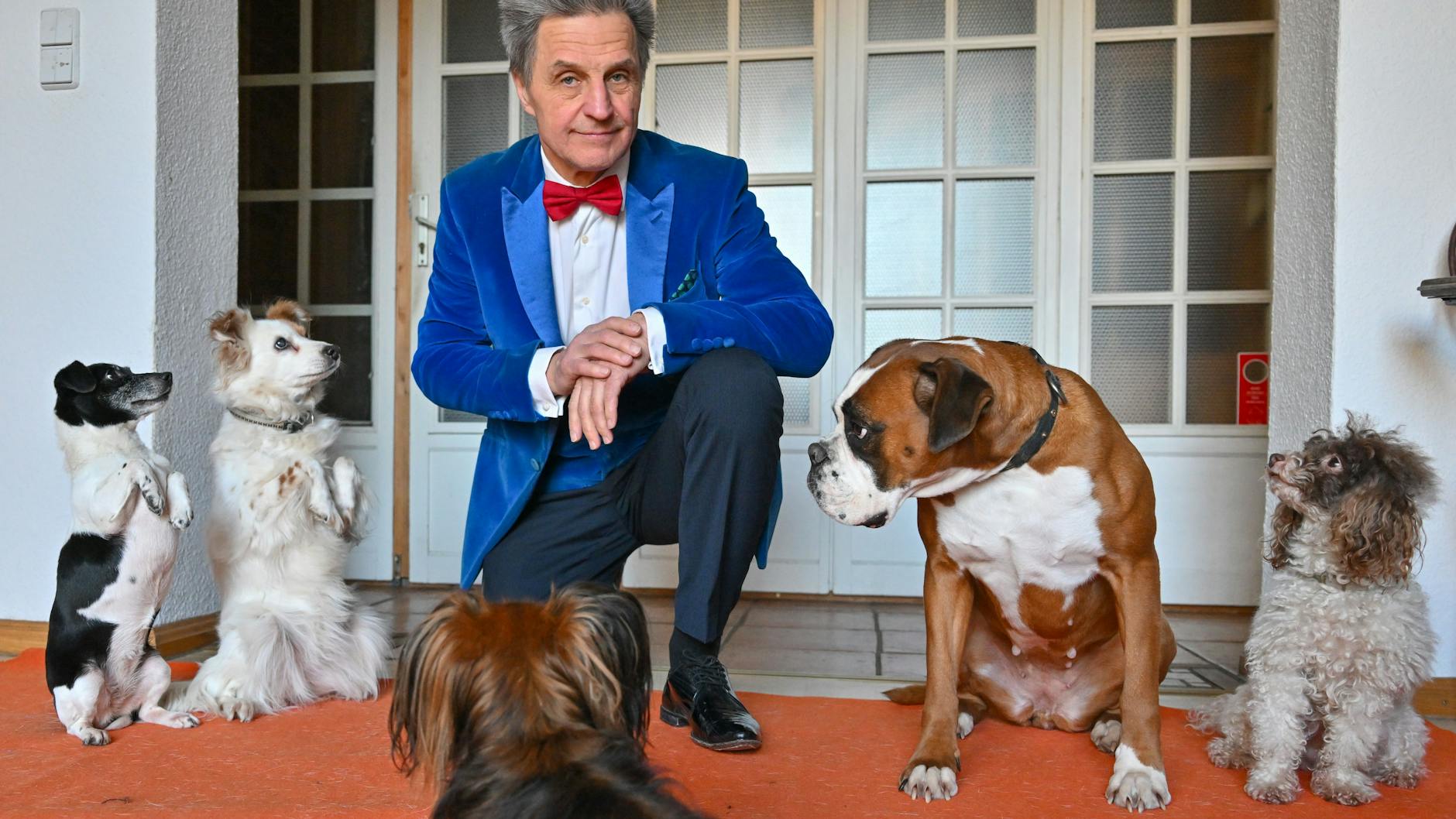Leonid Beljakov hat nur weibliche Hunde – sie lernen Tricks besser.