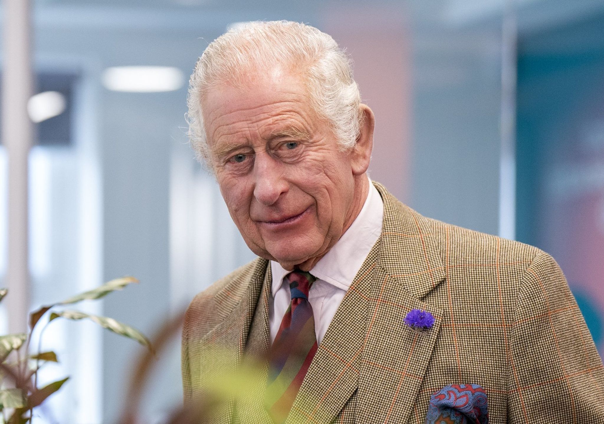 König Charles im Krankenhaus: Monarch musste „unters Messer“