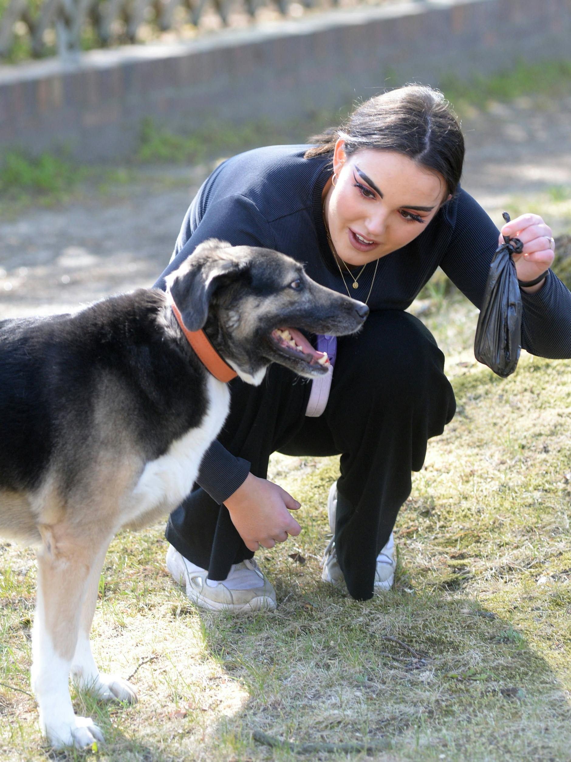Viele Hundehalter räumen die Hinterlassenschaften ihrer Tiere weg - aber eben leider nicht alle.
