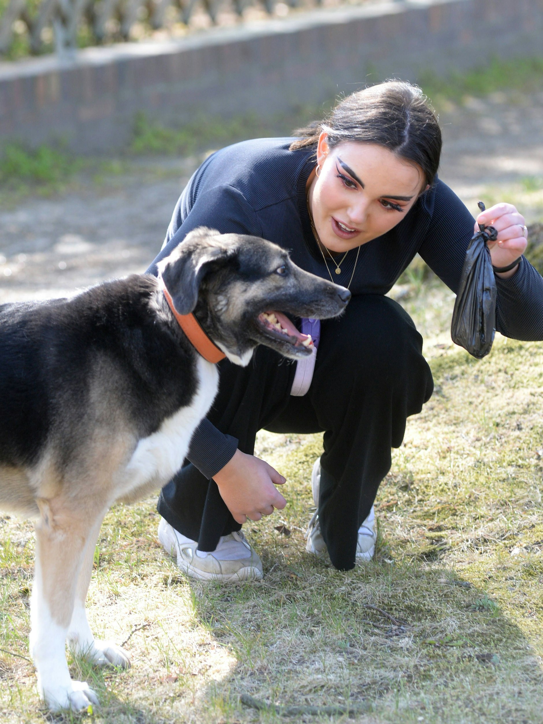 Viele Hundehalter räumen die Hinterlassenschaften ihrer Tiere weg - aber eben leider nicht alle.