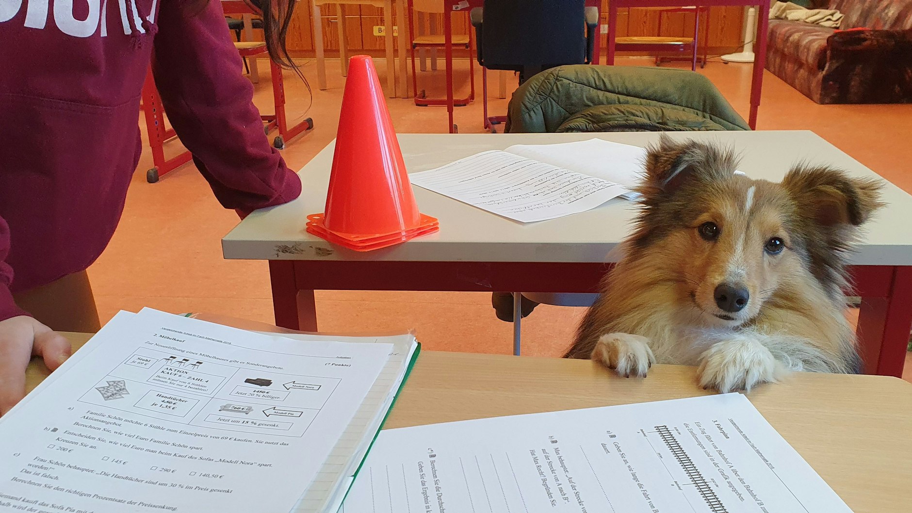 Andra Schmidt sagt ganz klar: Jeder Hund mit dem richtigen Charakter und der richtigen Ausbildung kann ein Schulhund werden!