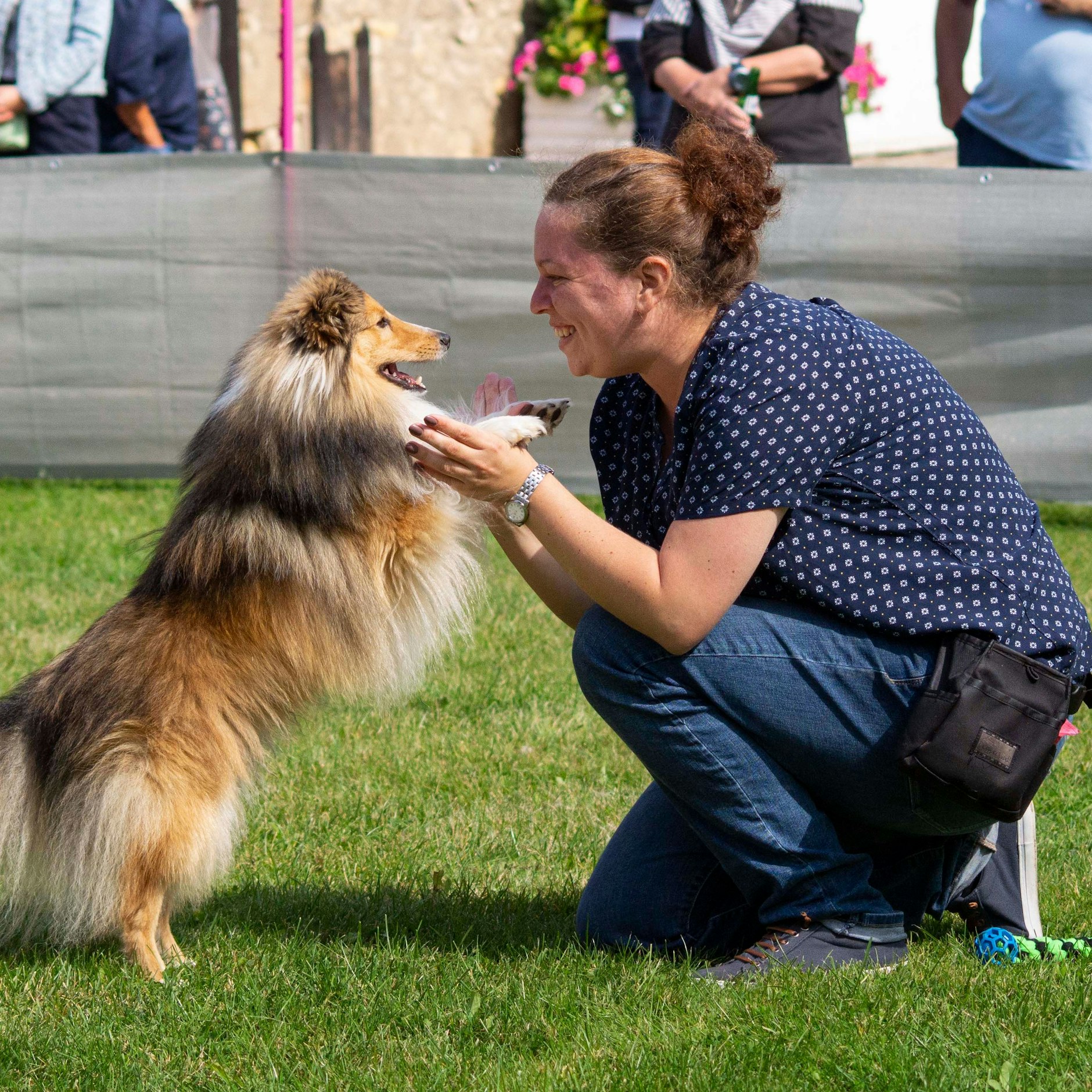 Andra Schmidt erklärt zu Pino: „Der Sheltie ist ein Hütehund, der ist wirklich sehr gelehrig. Der hat einen großen ‚will to please‘, nennt man das.“