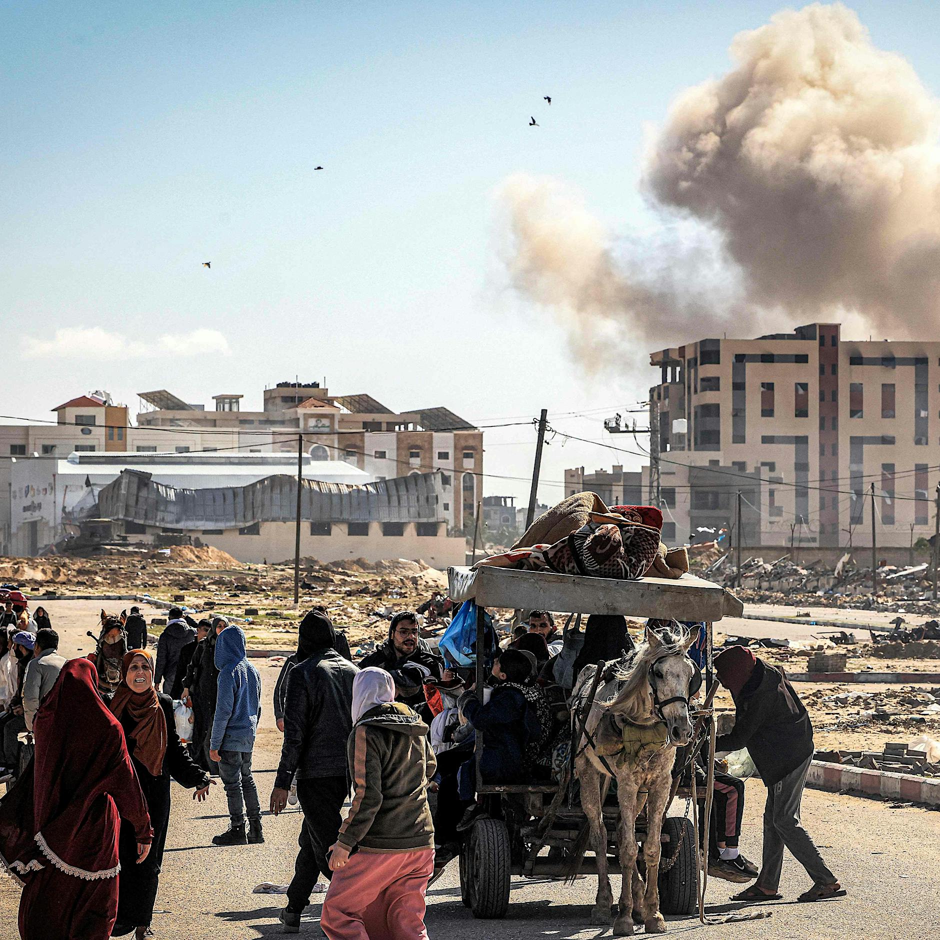 Klage gegen Israel: „Der Internationale Gerichtshof rettet das Völkerrecht aus den Trümmern von Gaza“
