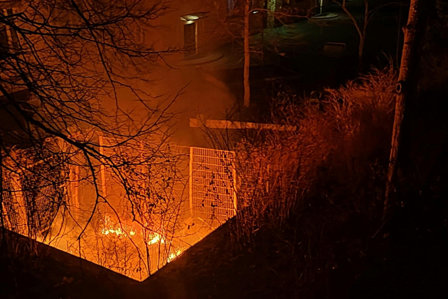 Auf dem Schulhof des Albert-Schweitzer-Gymnasiums standen Mülltonnen lichterloh in Flammen.