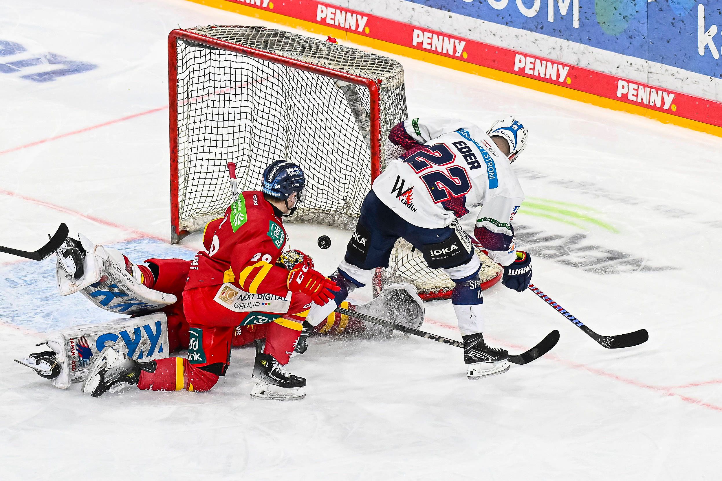 Eisbären: Die große Deutschland-Tour bringt Platz 1