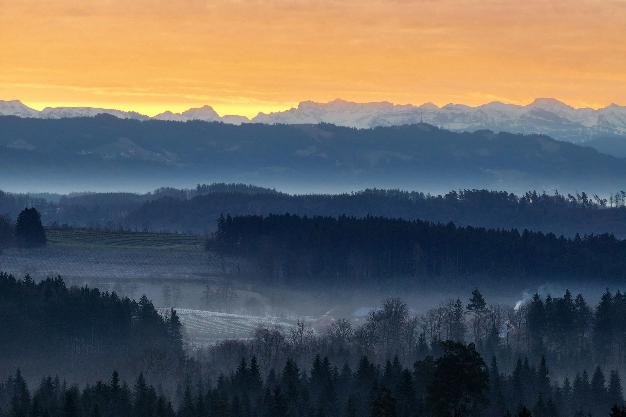 Hinter Bergen geht am Horizont die Sonne auf. Der leichte Bodennebel bedeckt die Landschaft in Tettnang im Bodenseekreis.  
