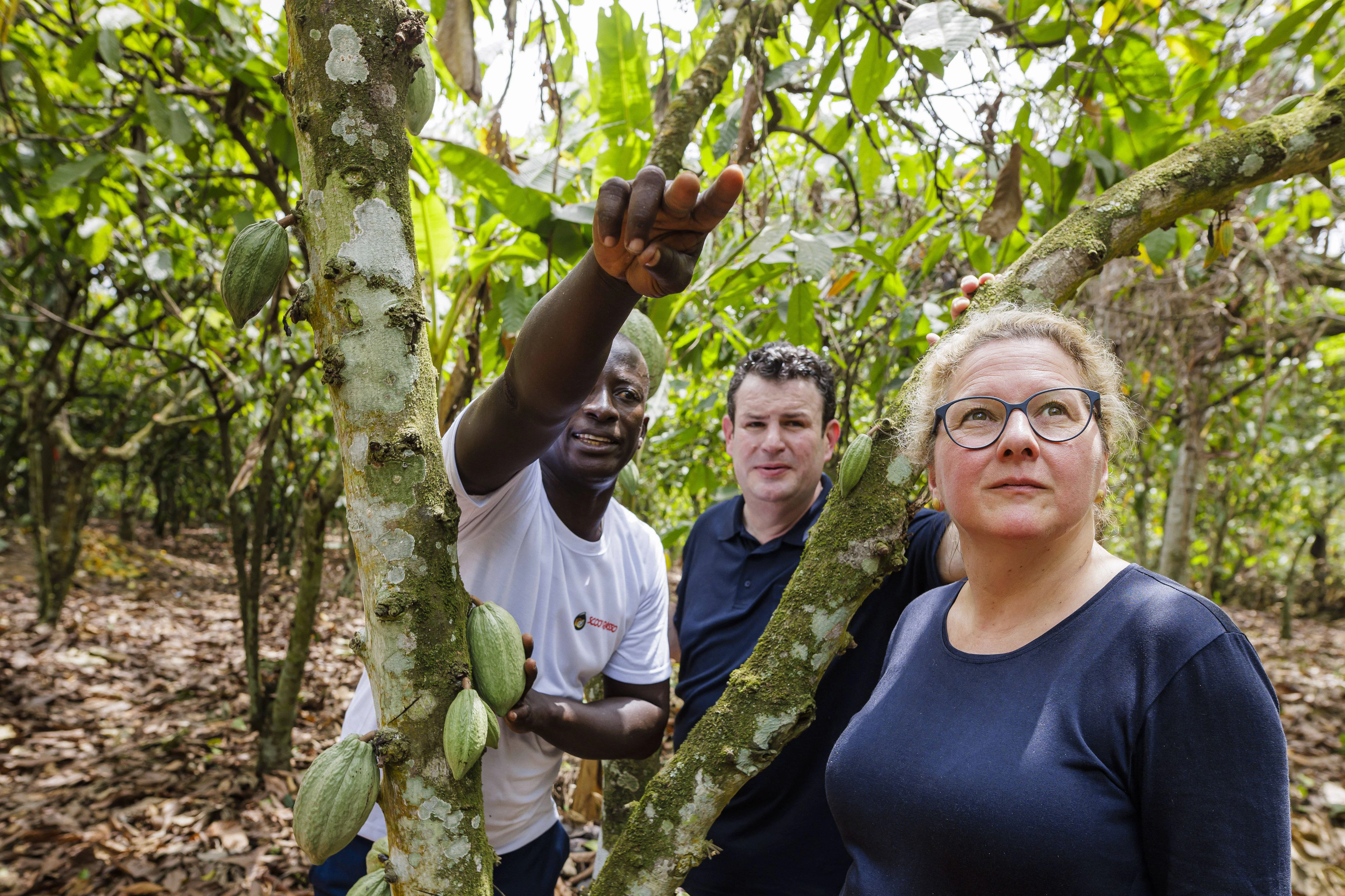 Svenja Schulze, Bundesministerin für wirtschaftliche Zusammenarbeit und Entwicklung, und Hubertus Heil, Bundesminister für Arbeit und Soziales, besuchen eine Kakao-Plantage der Cooperative Rasso in Agboville in der Elfenbeinküste.