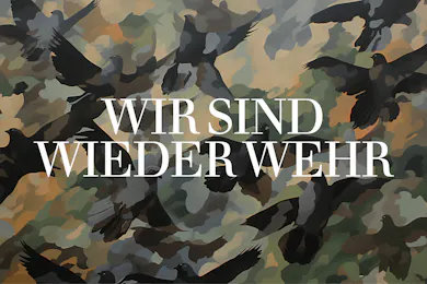 wir-sind-wieder-wehr