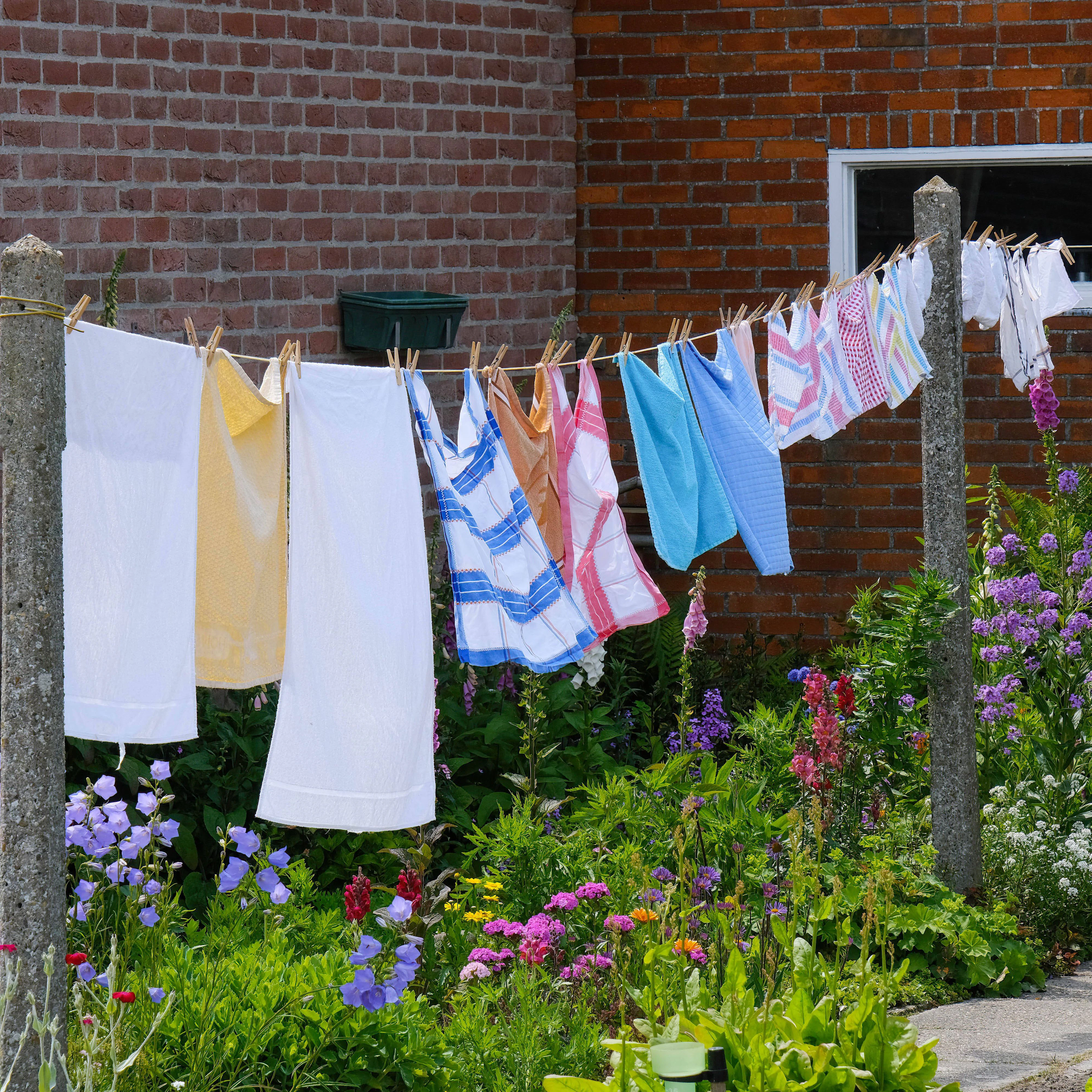 Wenn die Wäsche im Garten getrocknet wird, kommt der frische Duft von ganz allein.&nbsp;