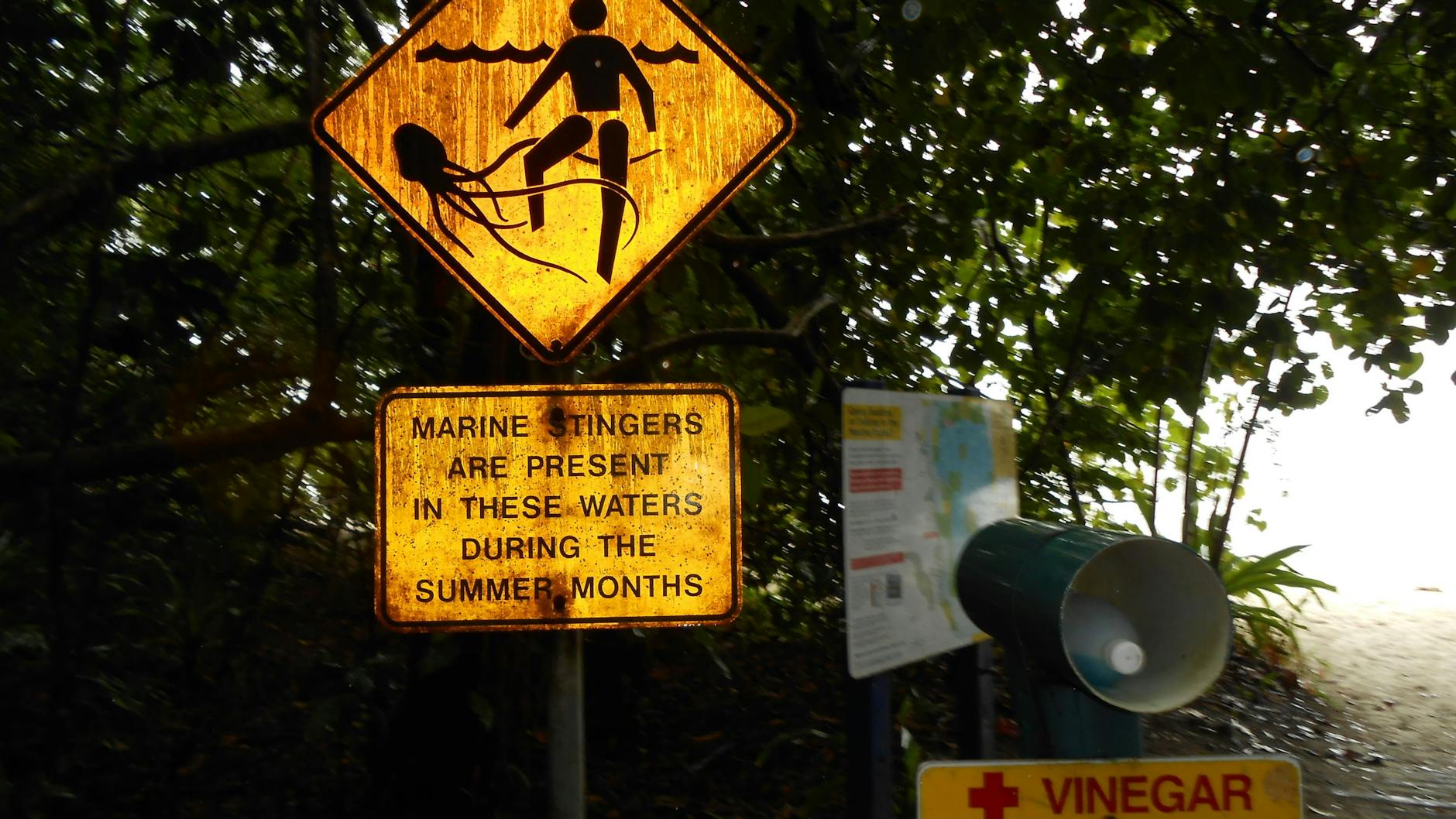Schilder warnen an einem Strand auf der Insel Green Island im australischen Bundesstaat Queensland vor giftigen Quallen.