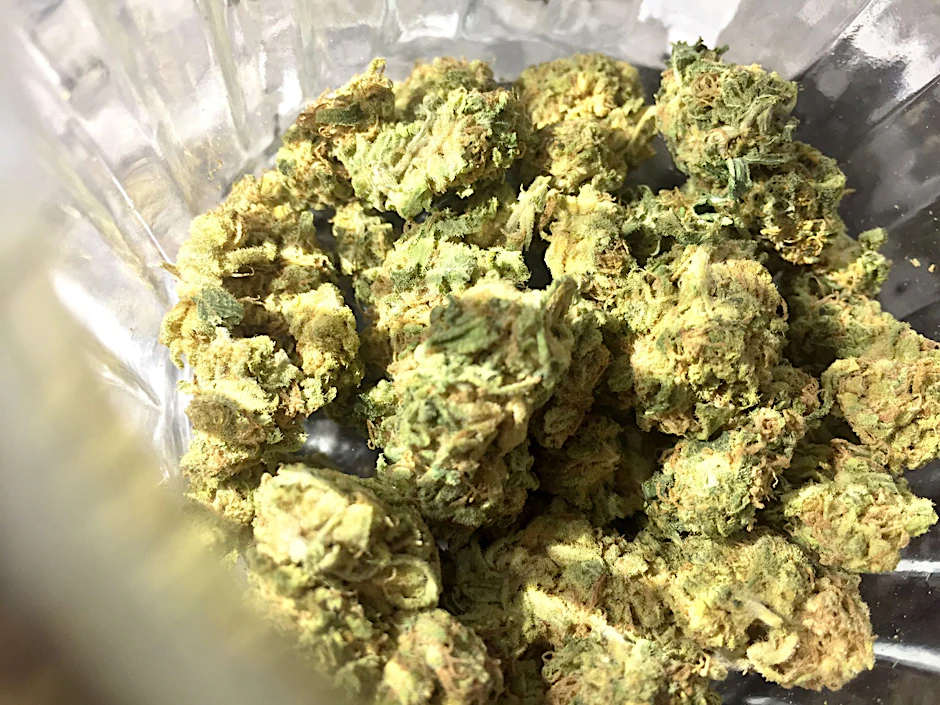 ARCHIV - Ab dem 1. April soll es Volljährigen erlaubt sein, eine bestimmte Menge an Cannabis zu besitzen und selber anzubauen.  