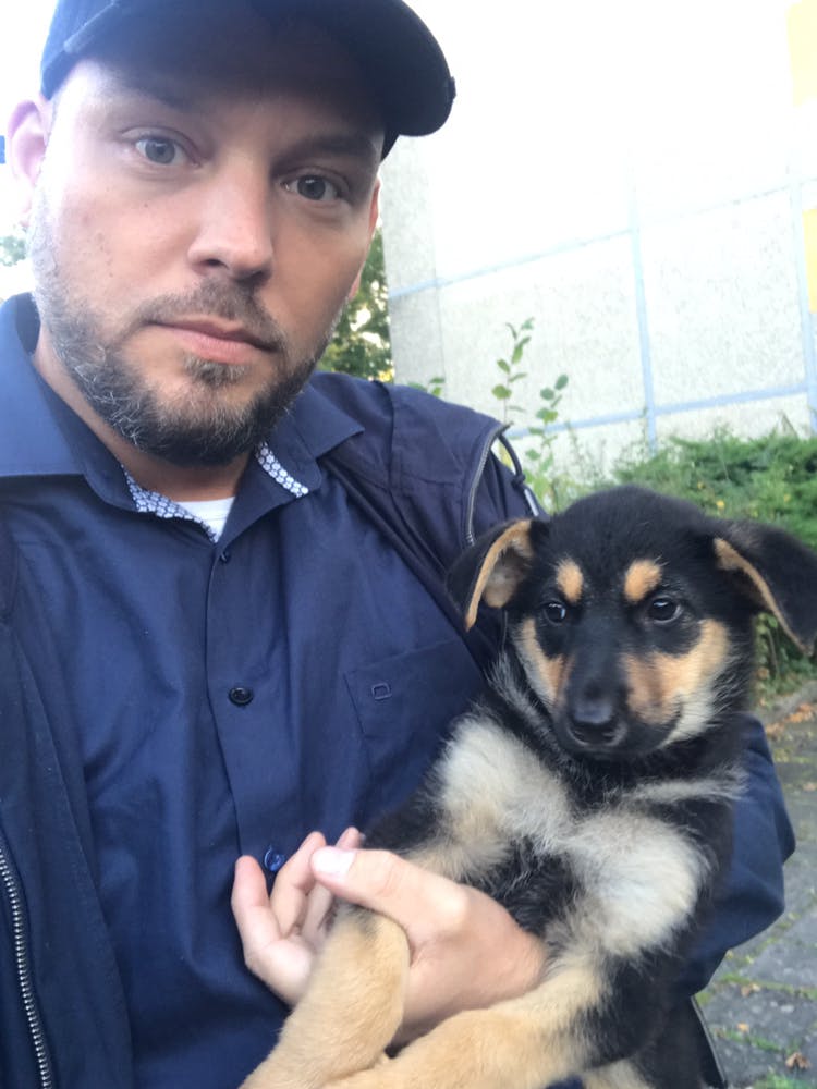 Etwa 100 Welpen rettet Stefan Klippstein pro Jahr.