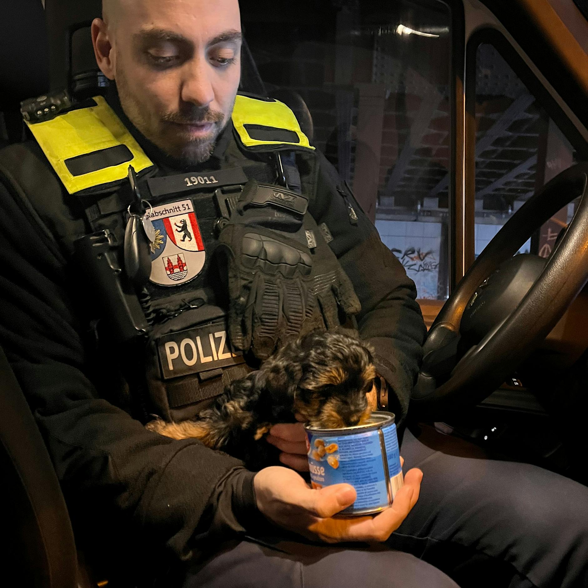 Hundewelpen aus Bordell in Spandau gerettet