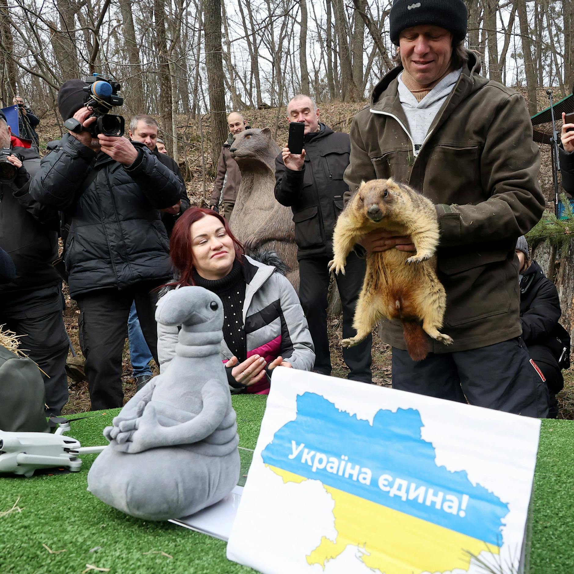 Groundhog Day in der Ukraine: Murmeltier macht dem Land wieder Mut