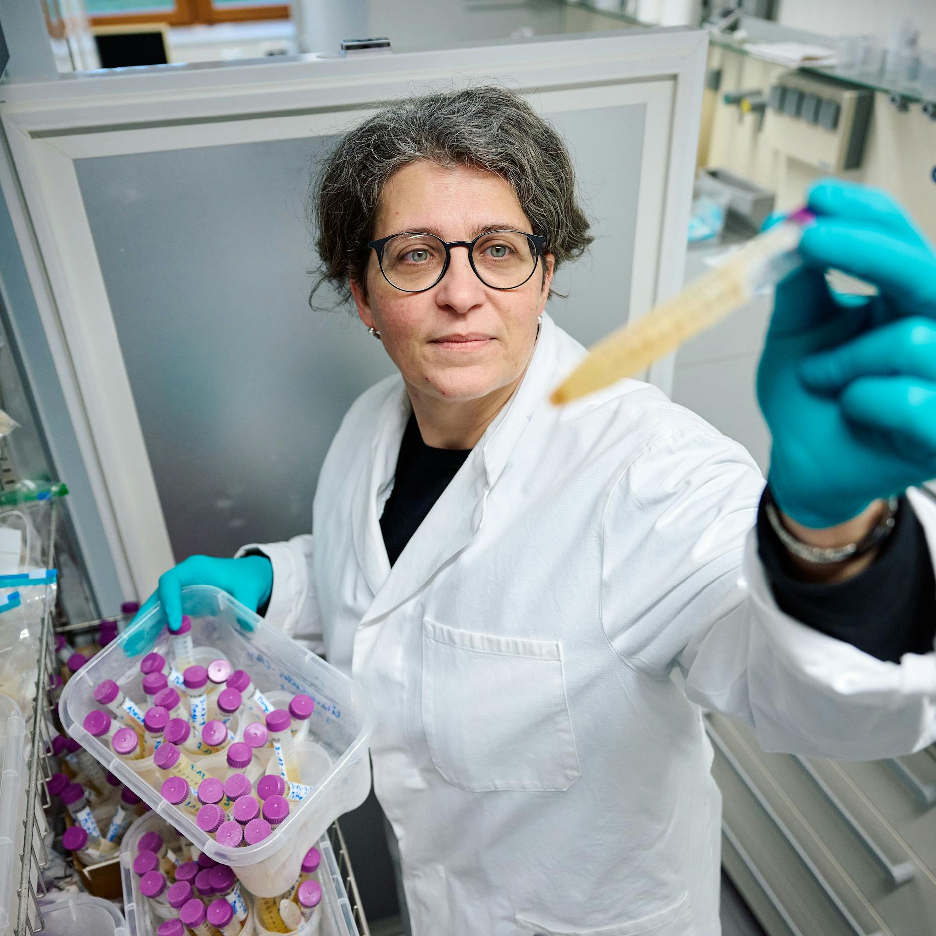 Image - Weichmacher im Urin: Behörden weisen Di-n-hexyl-Phthalat in vielen Proben nach