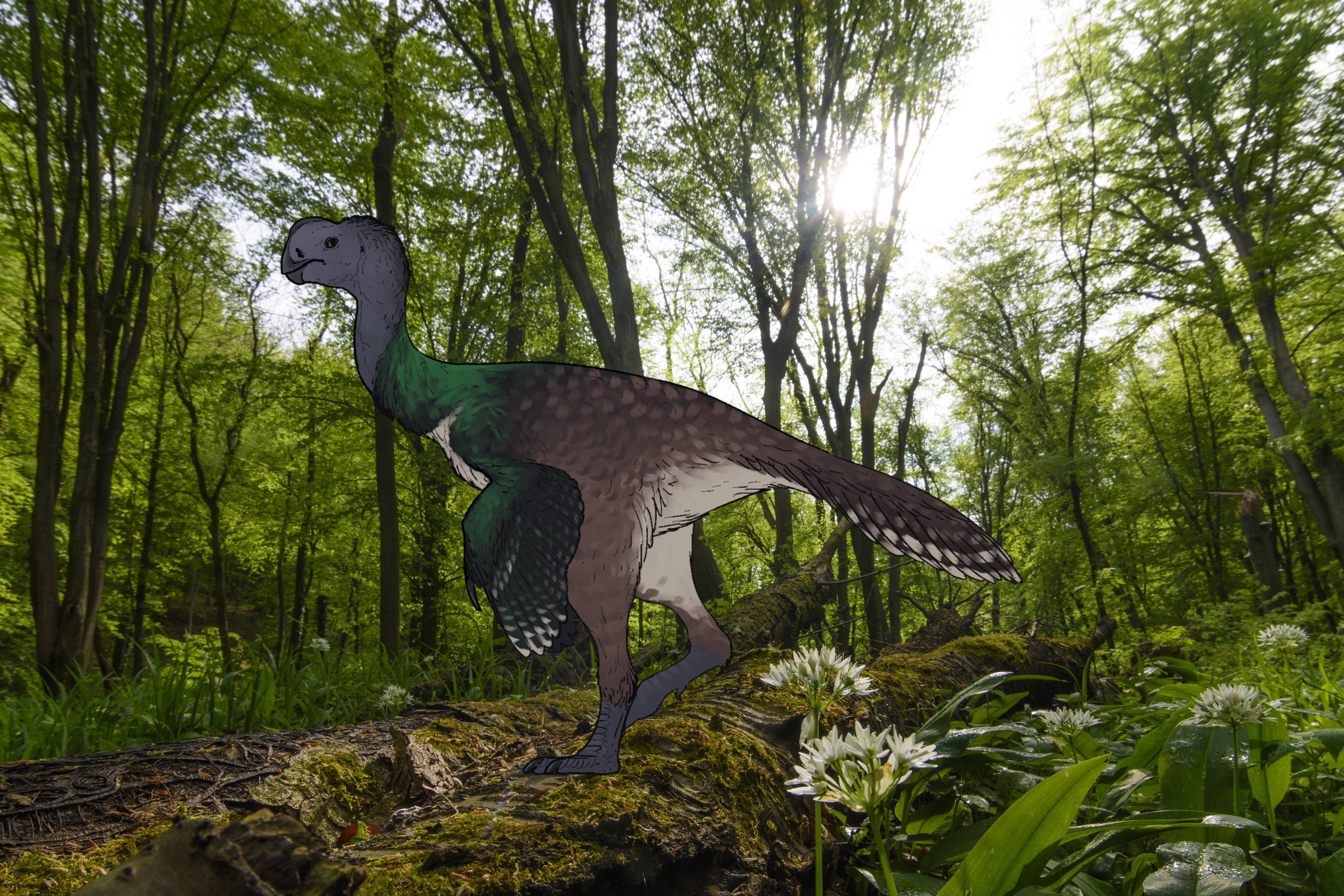 Für 5000 Dollar: Student kauft Dino-Skelett und entdeckt neue Spezies