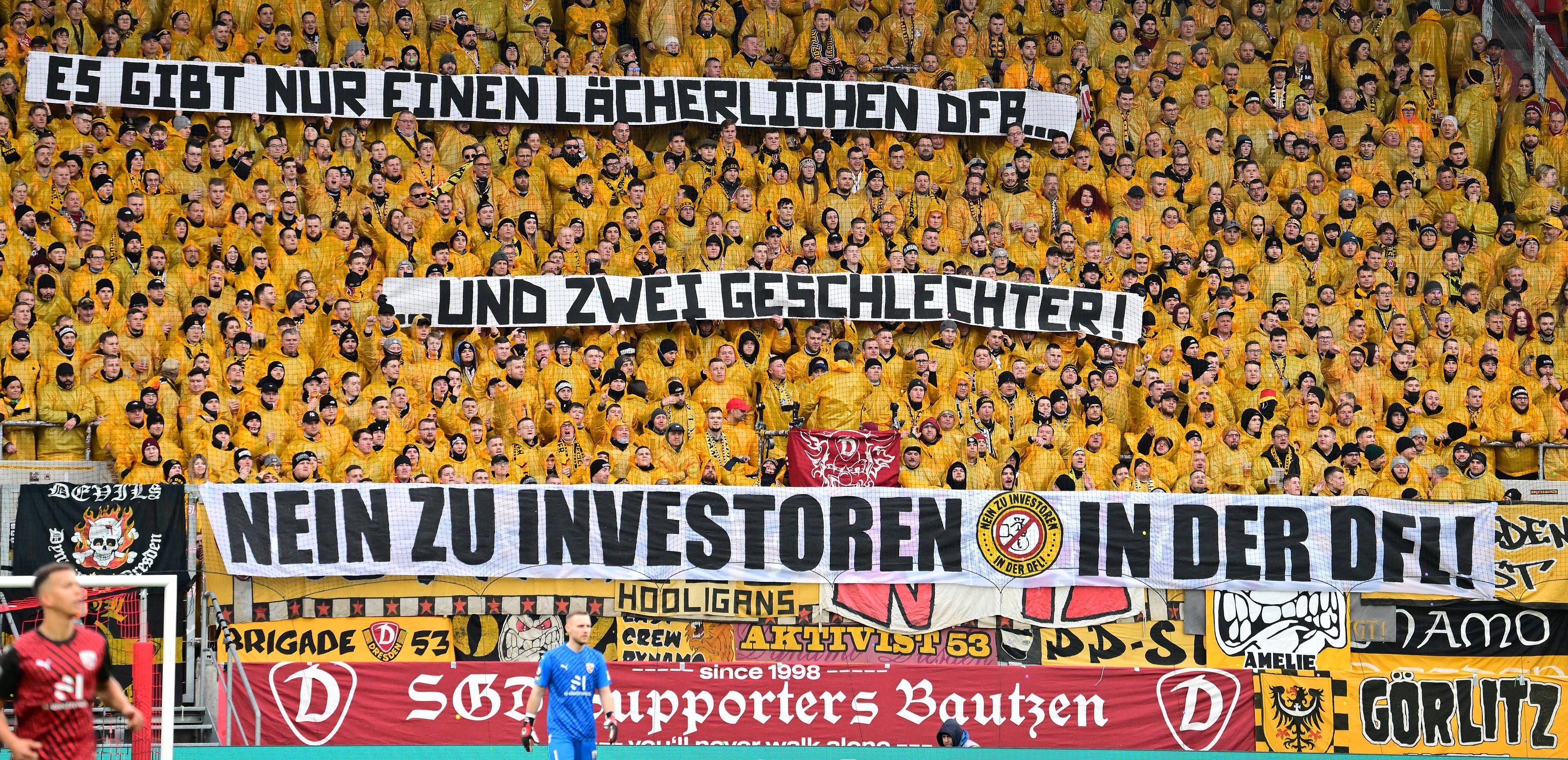 „Gibt nur zwei Geschlechter“: Fans von Energie Cottbus zeigen ebenfalls Banner
