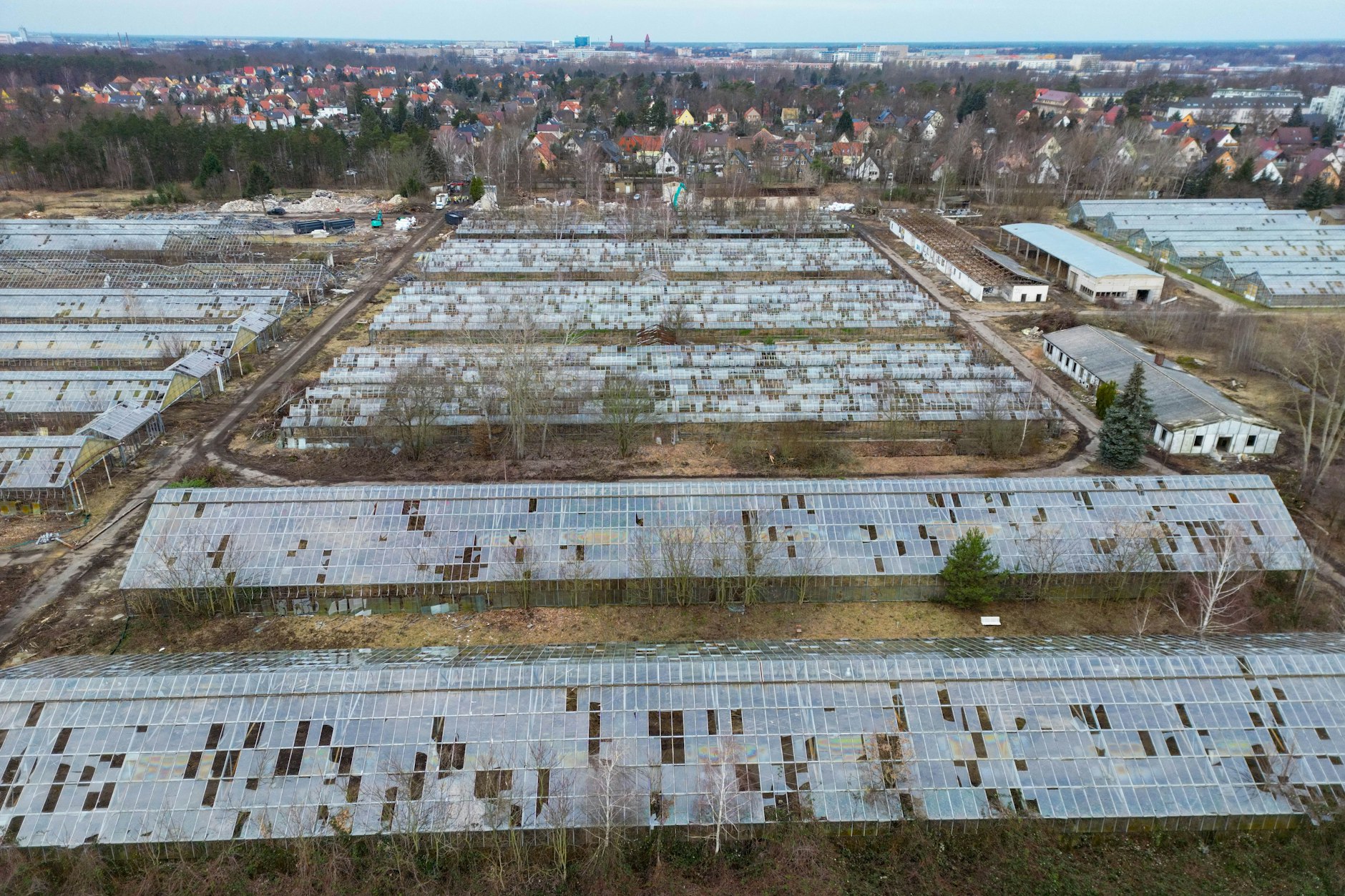 Alte und marode Gewächshäuser stehen bisher auf dem Gelände der Neuen Branitzer Baumuniversität nahe dem Schloss Branitz. 