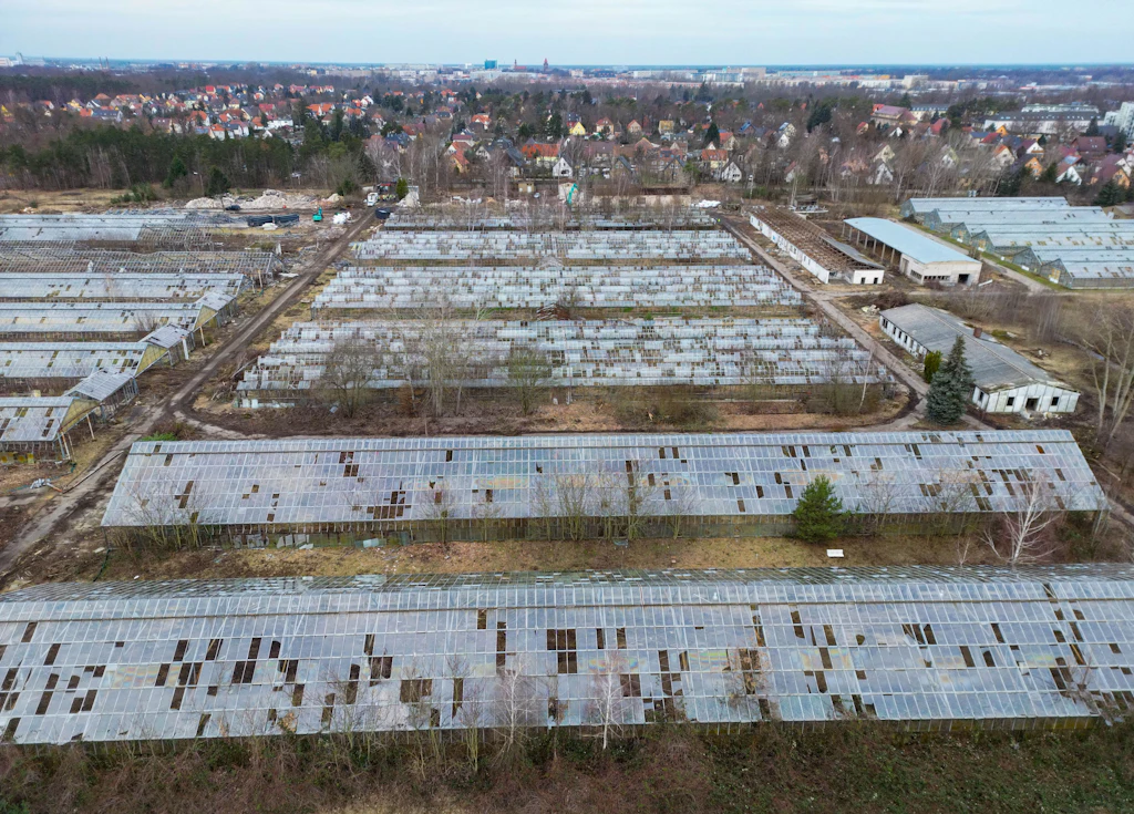 Marode DDR-Genossenschaft wird zur Baum-Universität gegen Klimawandel