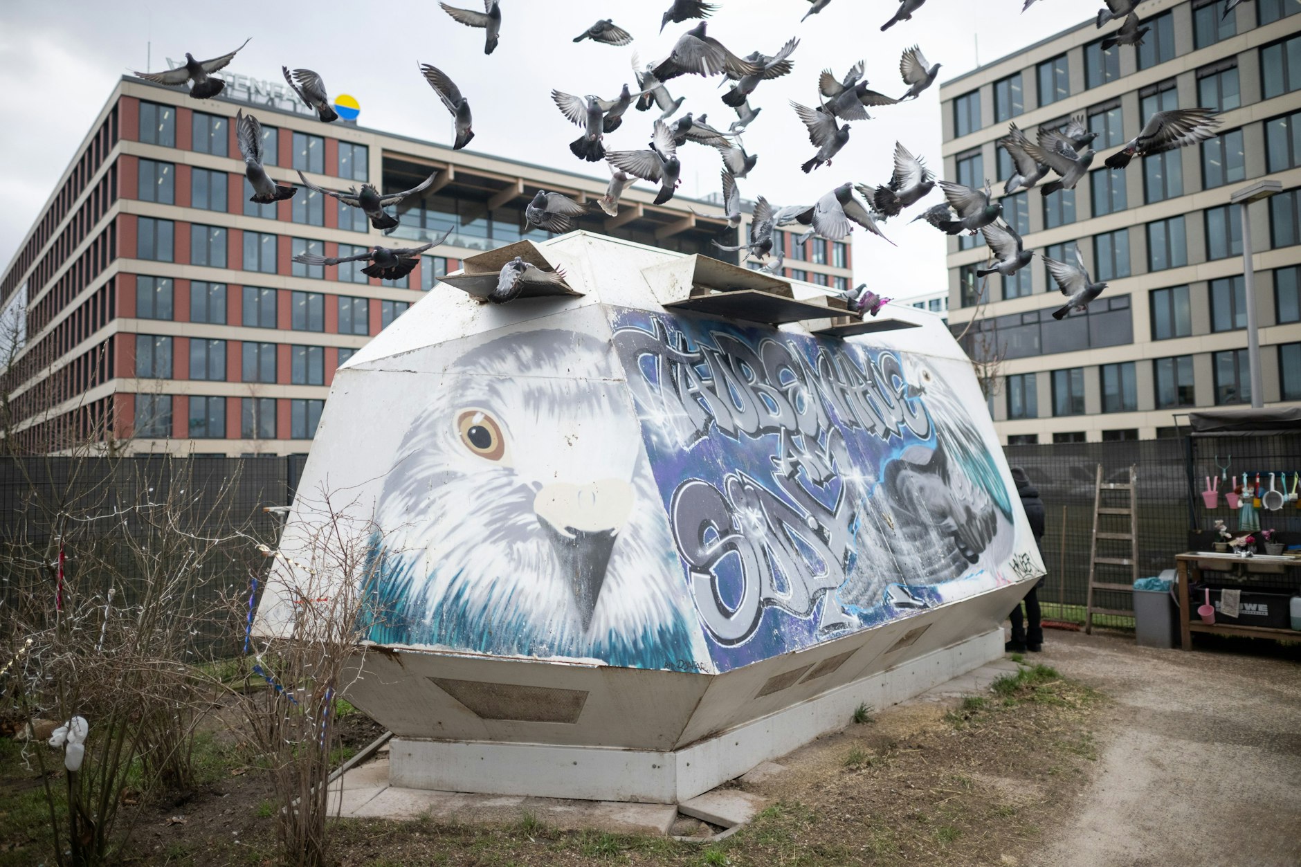 Tauben fliegen vom Taubenhaus am Berliner Bahnhof Südkreuz los.