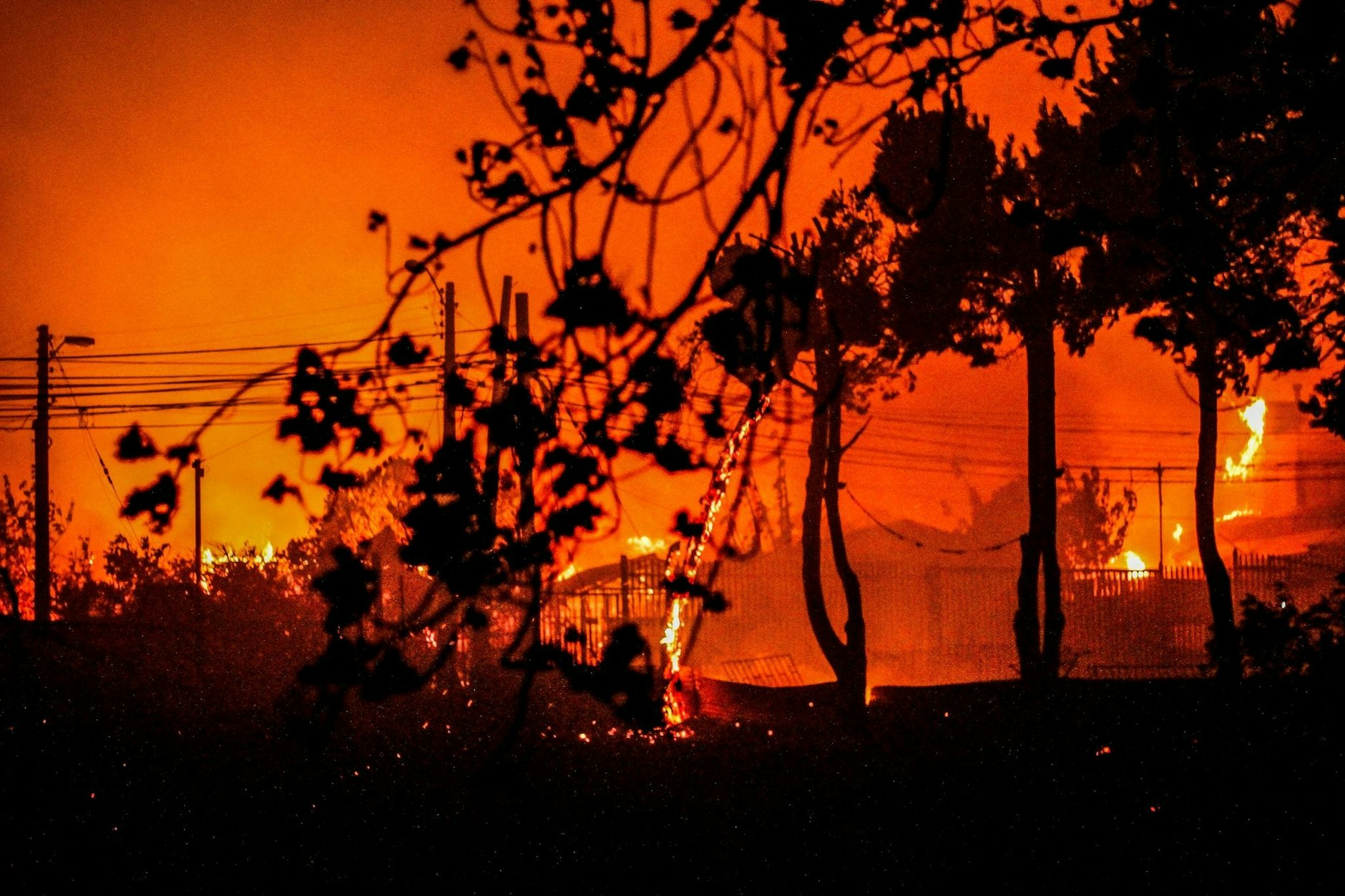 Flammen und Rauch sind zu sehen, als Häuser während eines Waldbrandes in Chile niederbrennen.