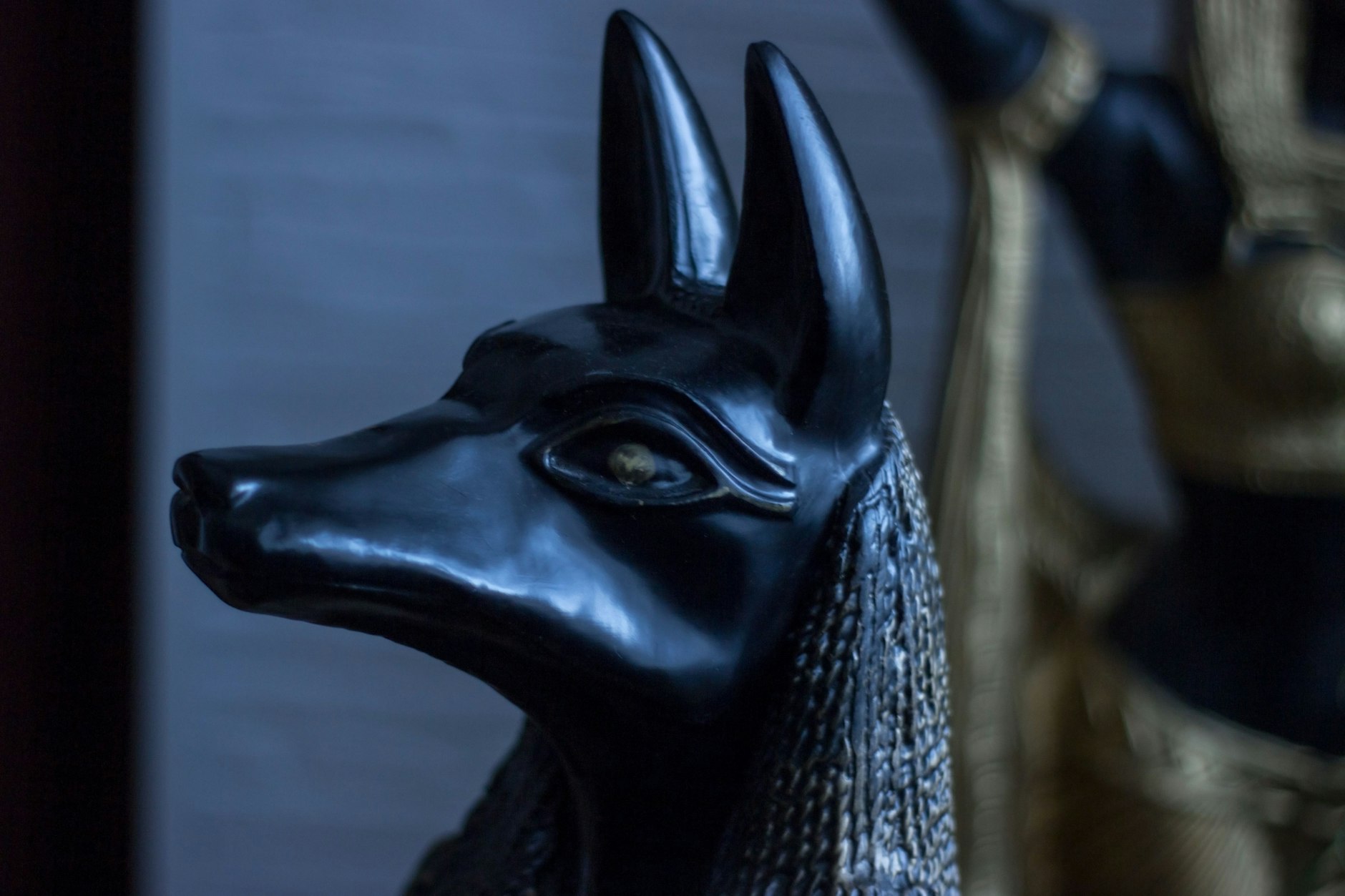 Die Frau hatte eine Statue des ägyptischen Gottes Anubis in der Wohnung und interessierte sich sehr für die altägyptische Kultur.