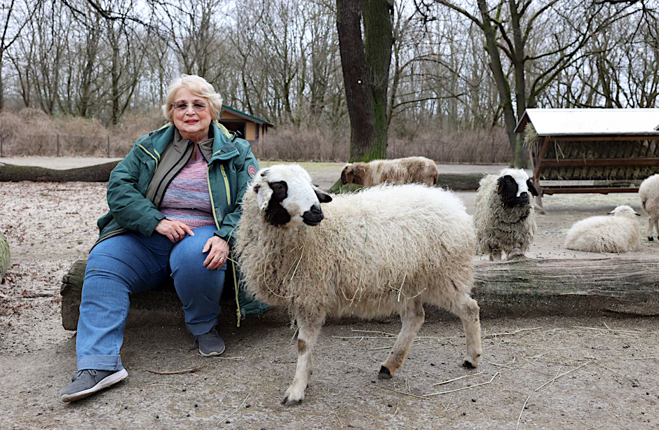 Dr. Ulrike Barthel (75) hilft bald ehrenamtlich im Tierpark Berlin. Bei den Schafen im Streichelzoo ist sie dafür zuständig, dass Besucher auch die Regeln einhalte. So dürfen die Ruhezone für die Tiere nicht betreten werden.