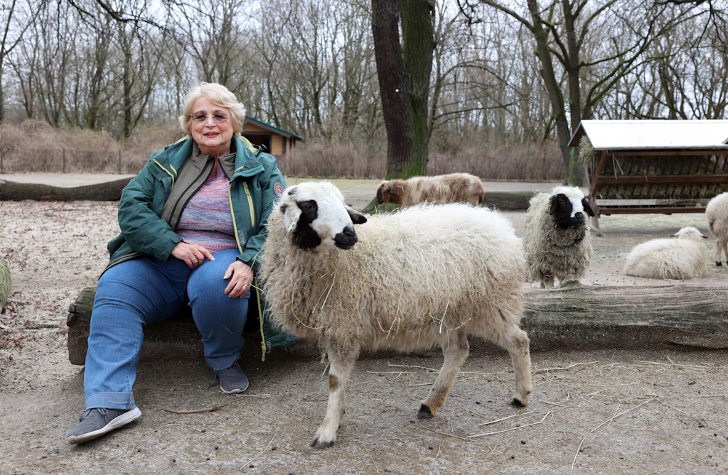 Ehrenamt statt Ruhestand: Warum Oma Ulrike mit 75 im Tierpark hilft